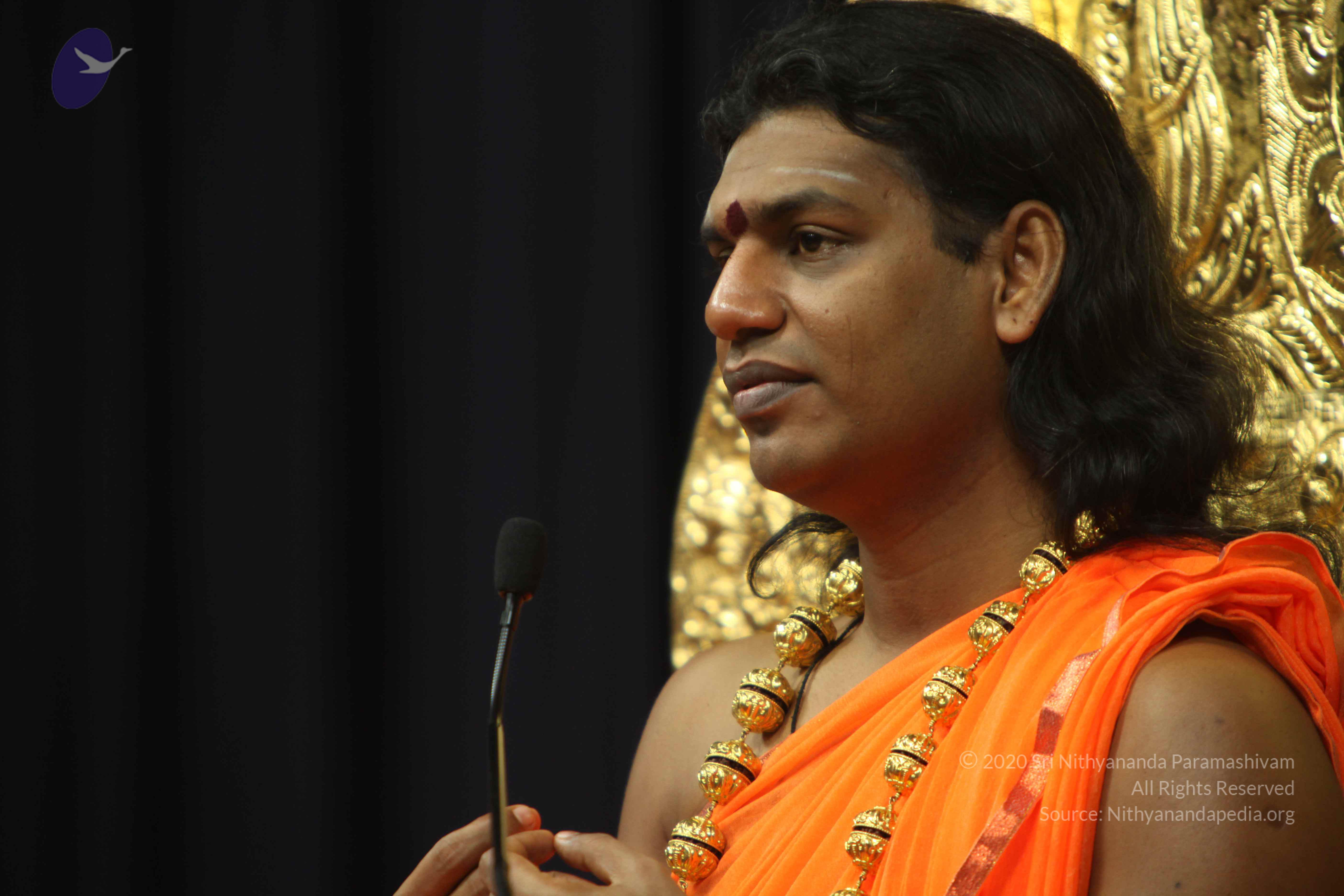 20110227_Photo_1179_IMG_9063_CMP_WM