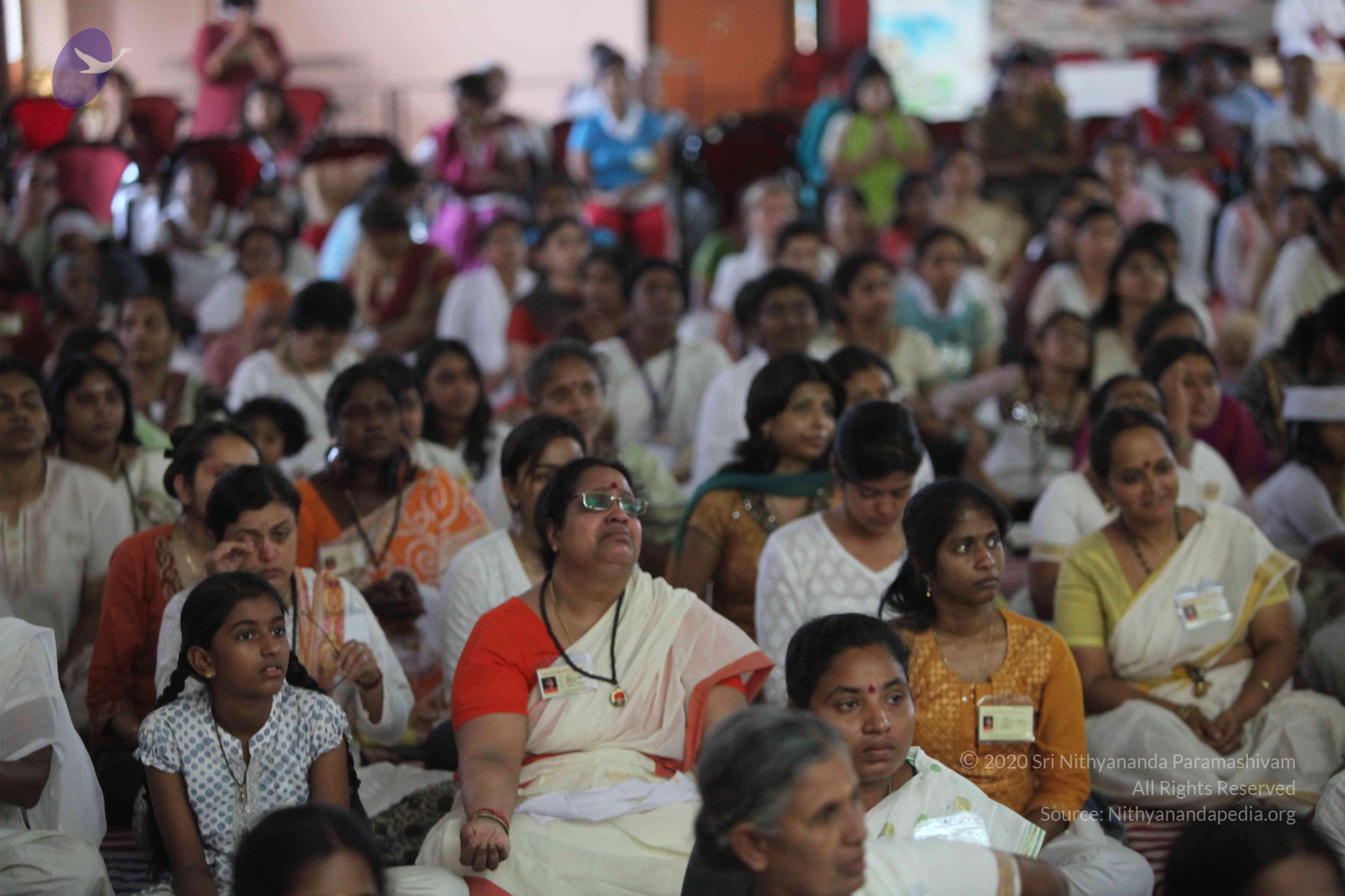 20110227_Photo_1181_IMG_9622_CMP_WM