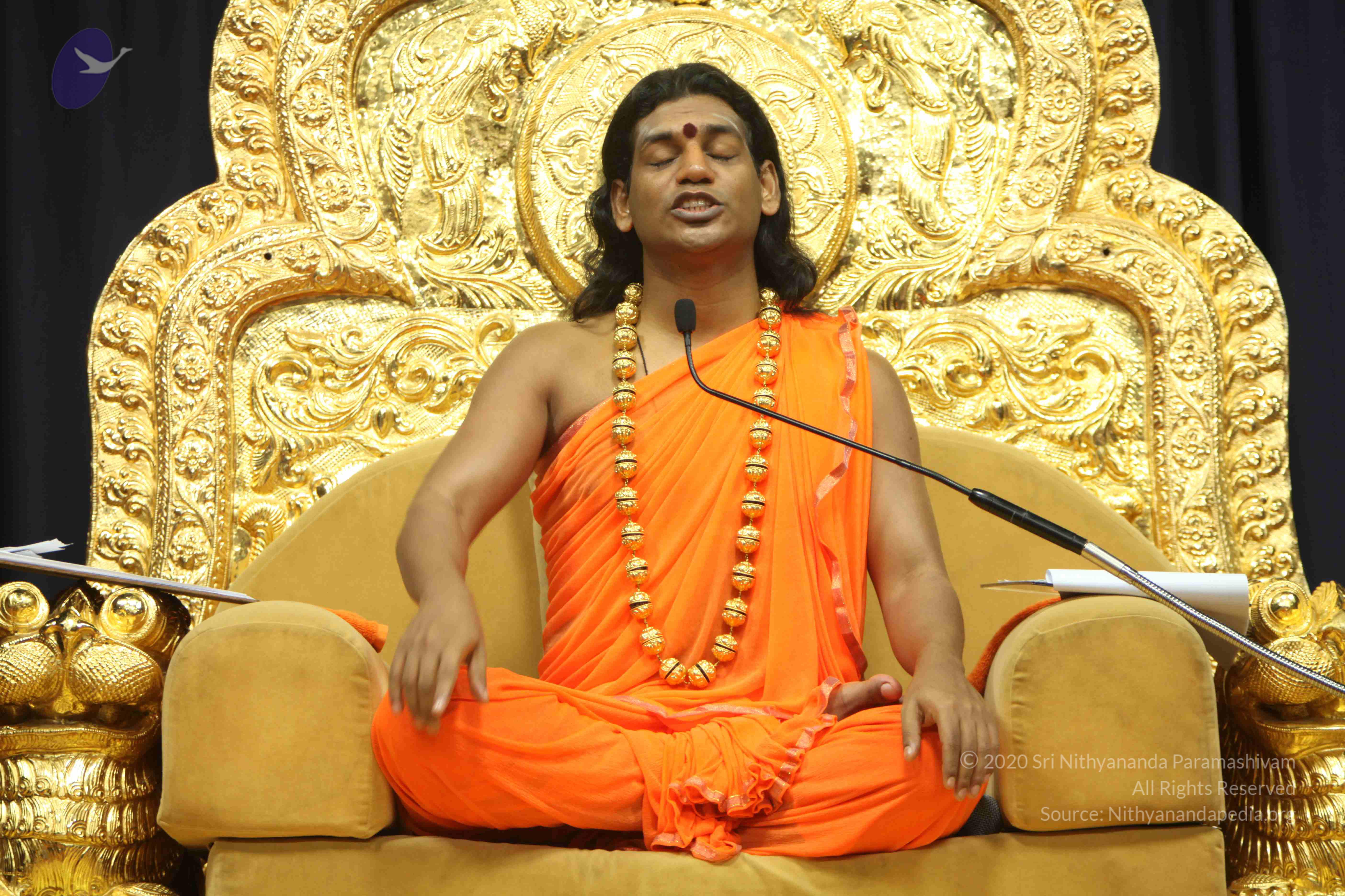 20110227_Photo_1182_IMG_9177_CMP_WM