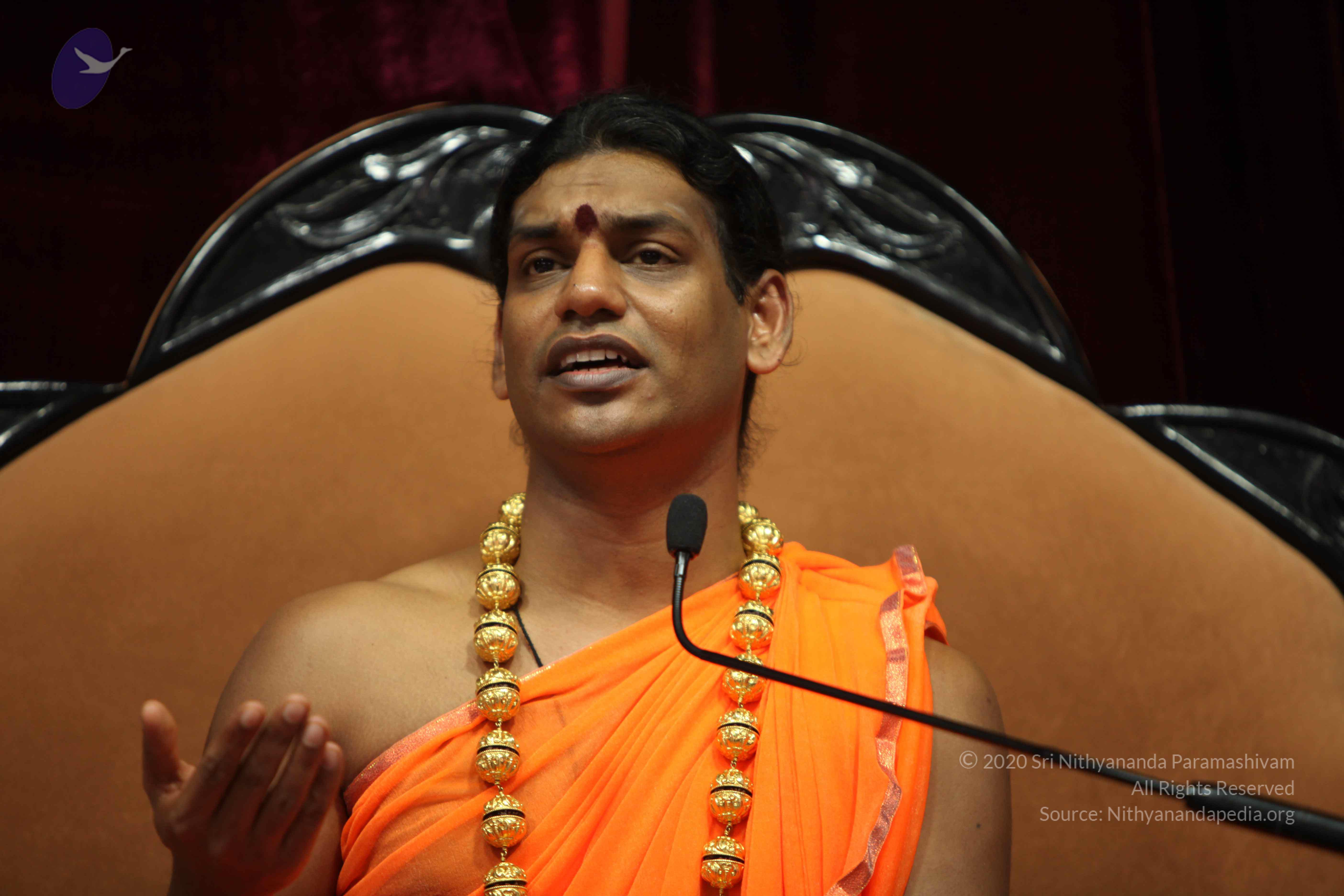 20110227_Photo_1183_IMG_9468_CMP_WM