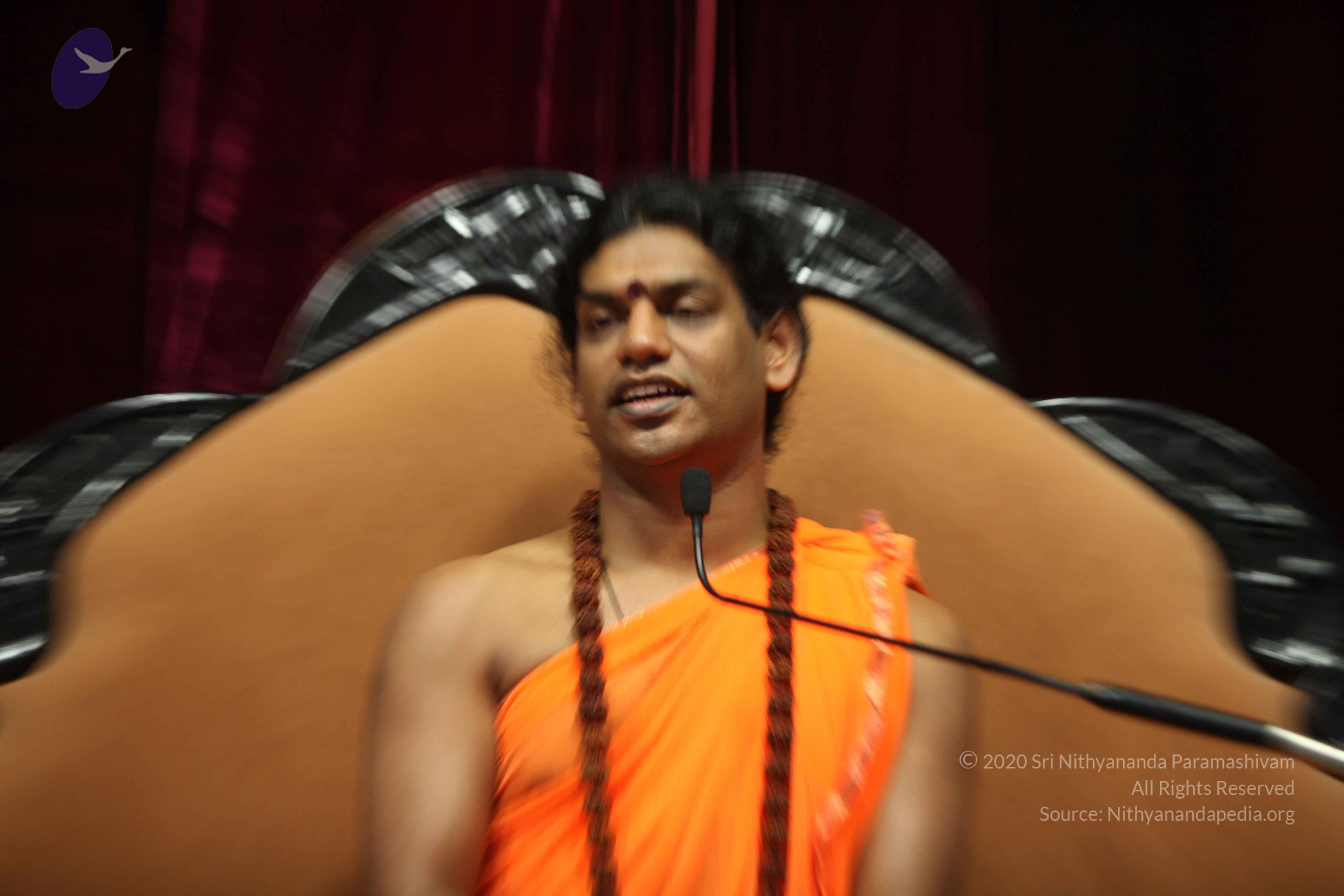 20110227_Photo_1193_IMG_9538_CMP_WM