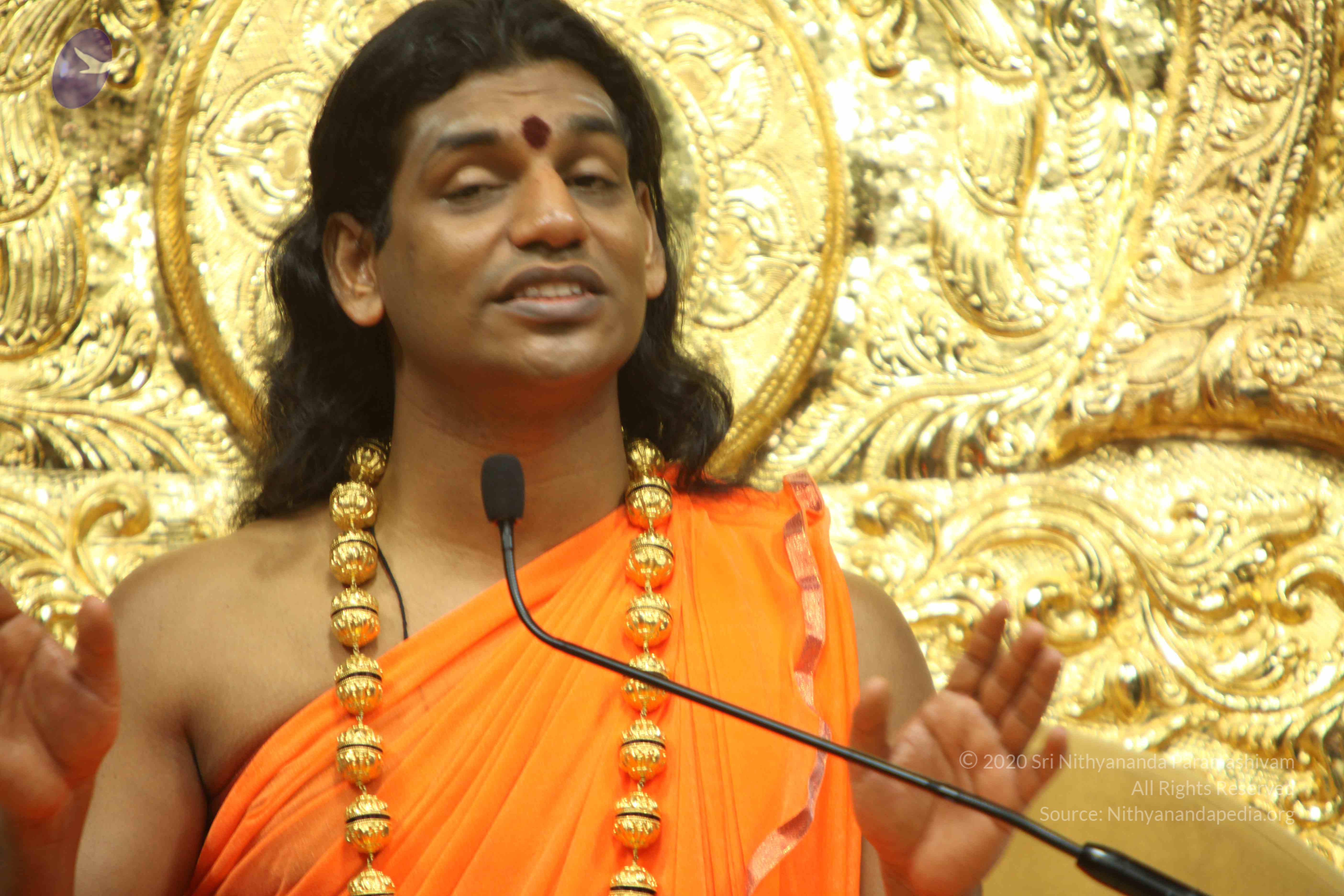 20110227_Photo_1200_IMG_9213_CMP_WM