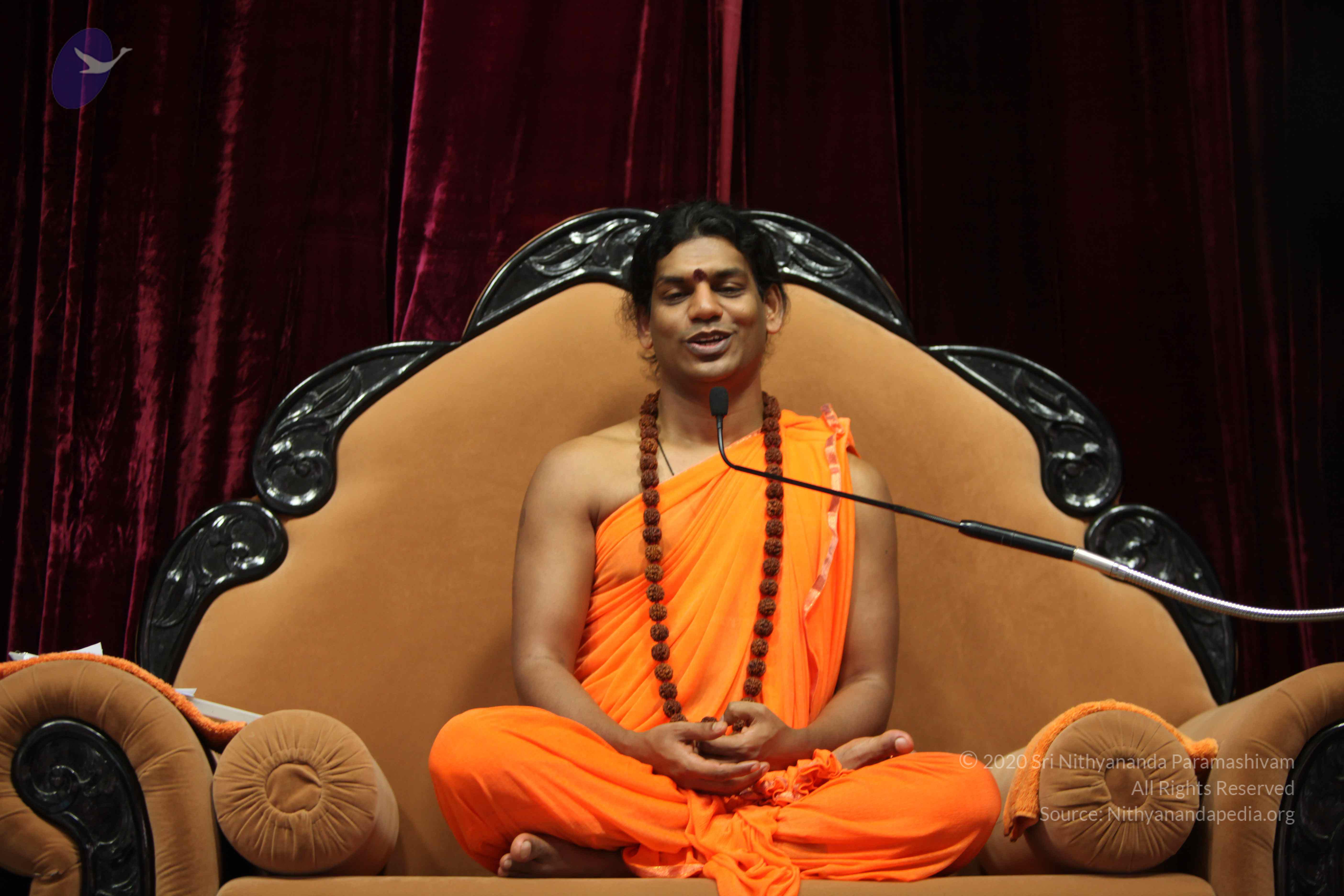 20110227_Photo_1204_IMG_9524_CMP_WM