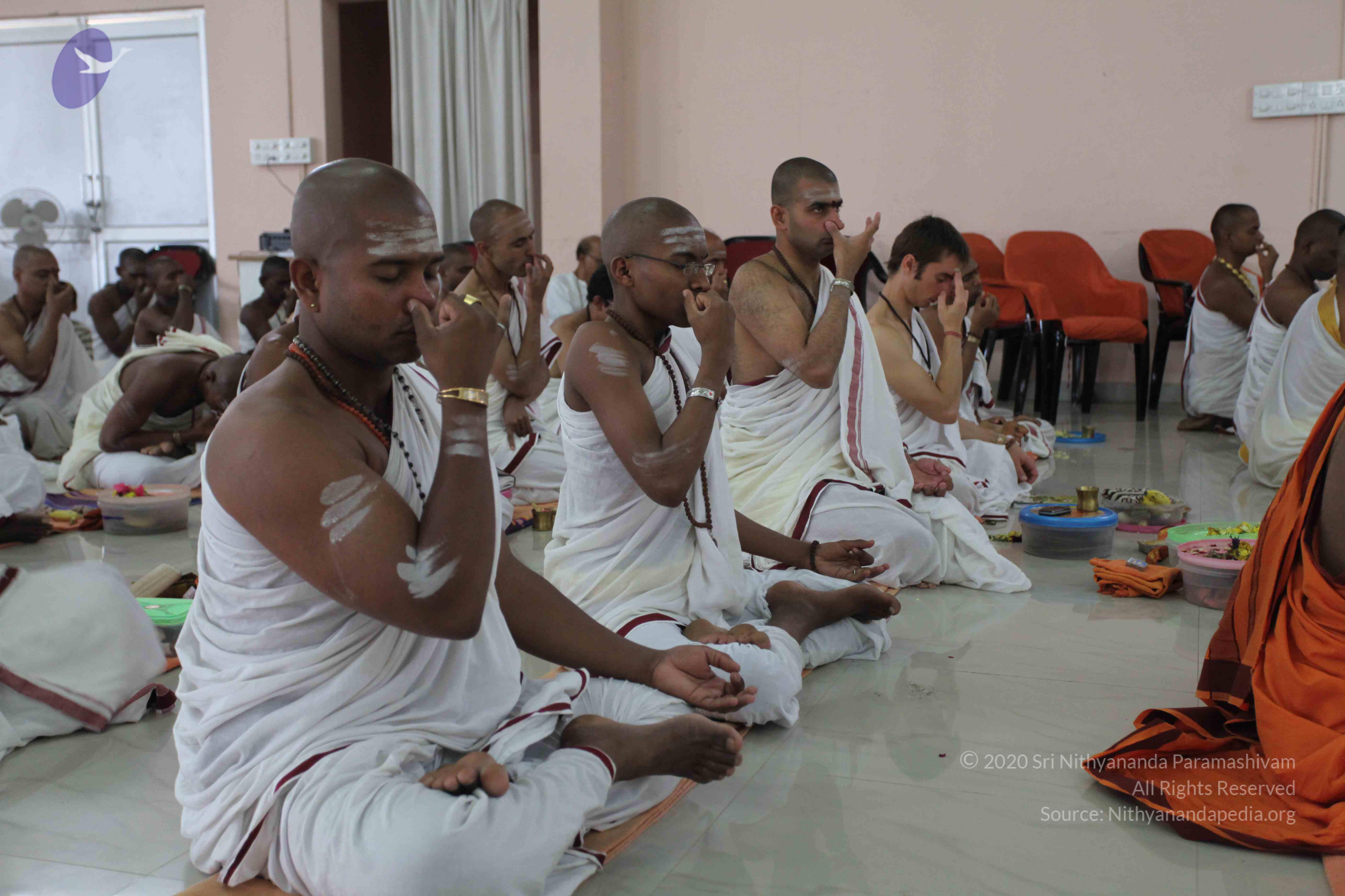 20110227_Photo_1205_IMG_9246_CMP_WM