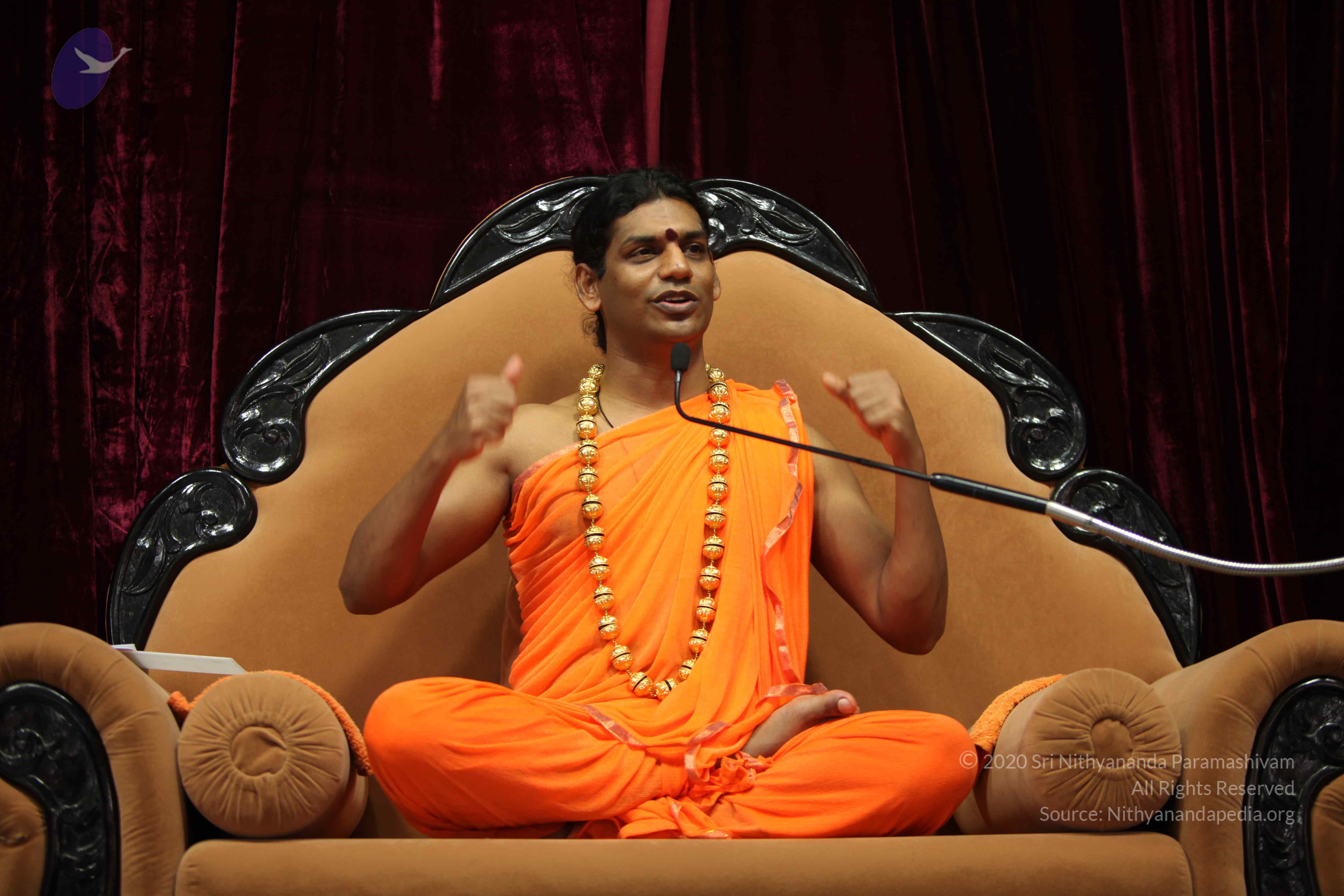 20110227_Photo_1206_IMG_9430_CMP_WM