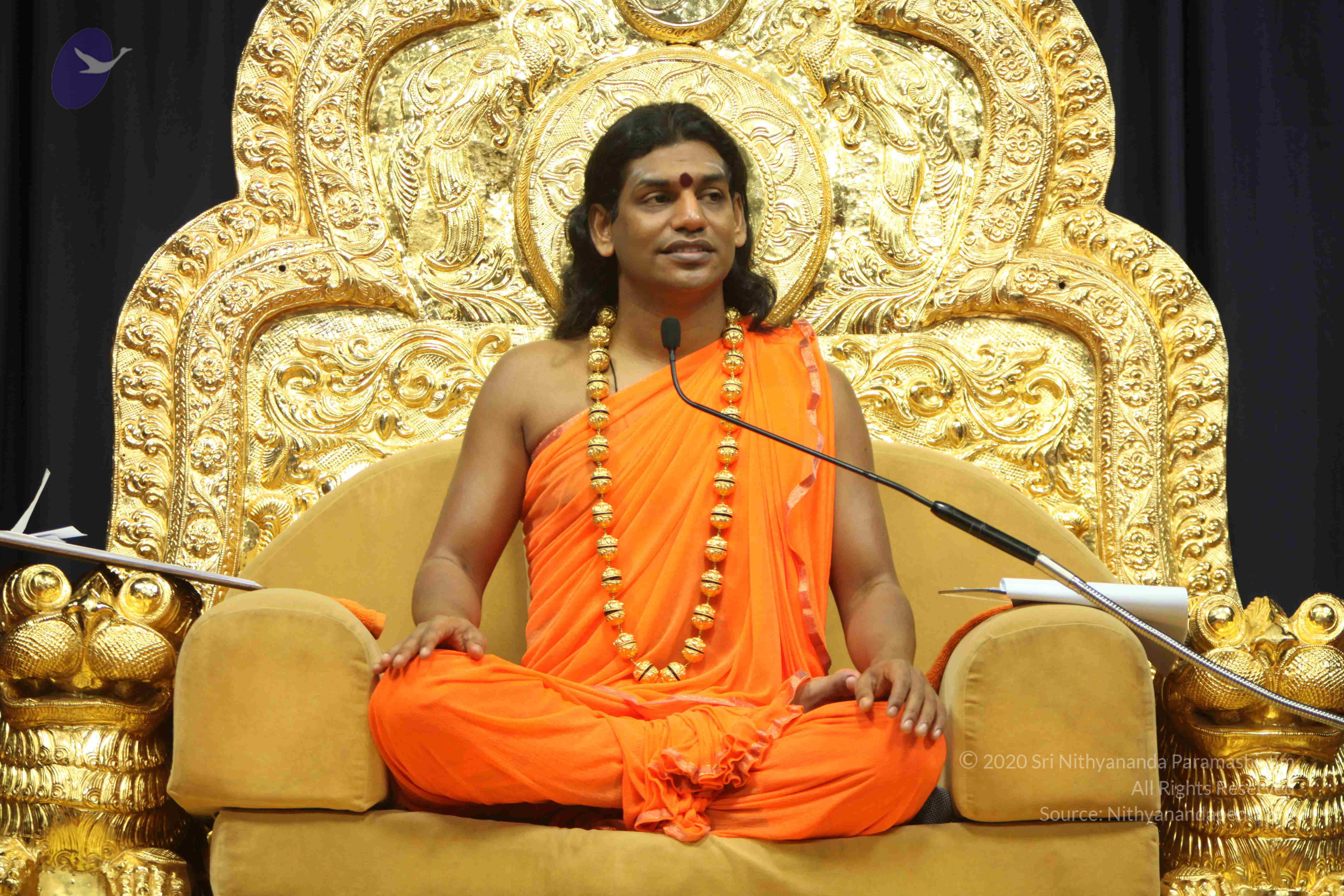 20110227_Photo_1208_IMG_9118_CMP_WM