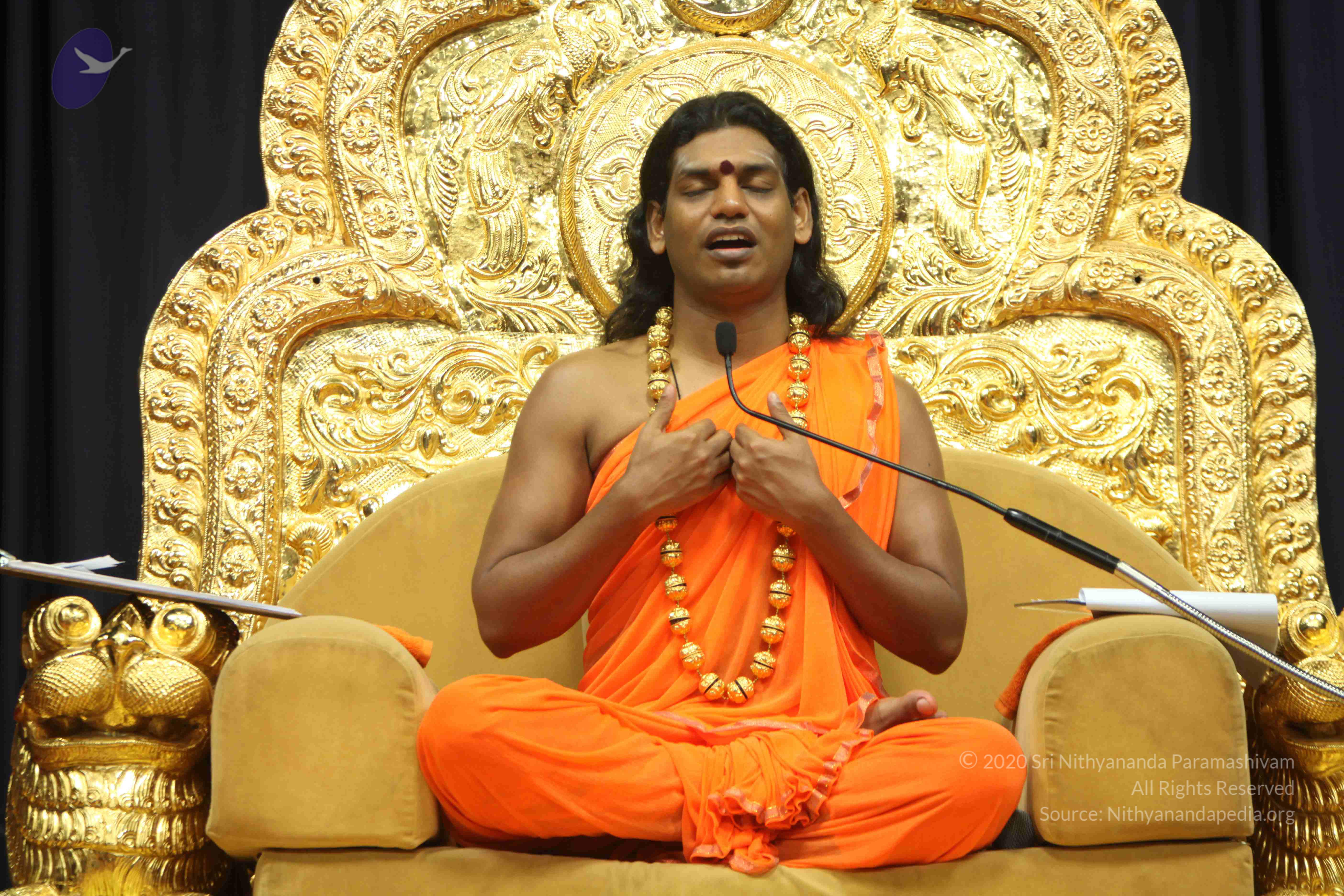 20110227_Photo_1209_IMG_9185_CMP_WM