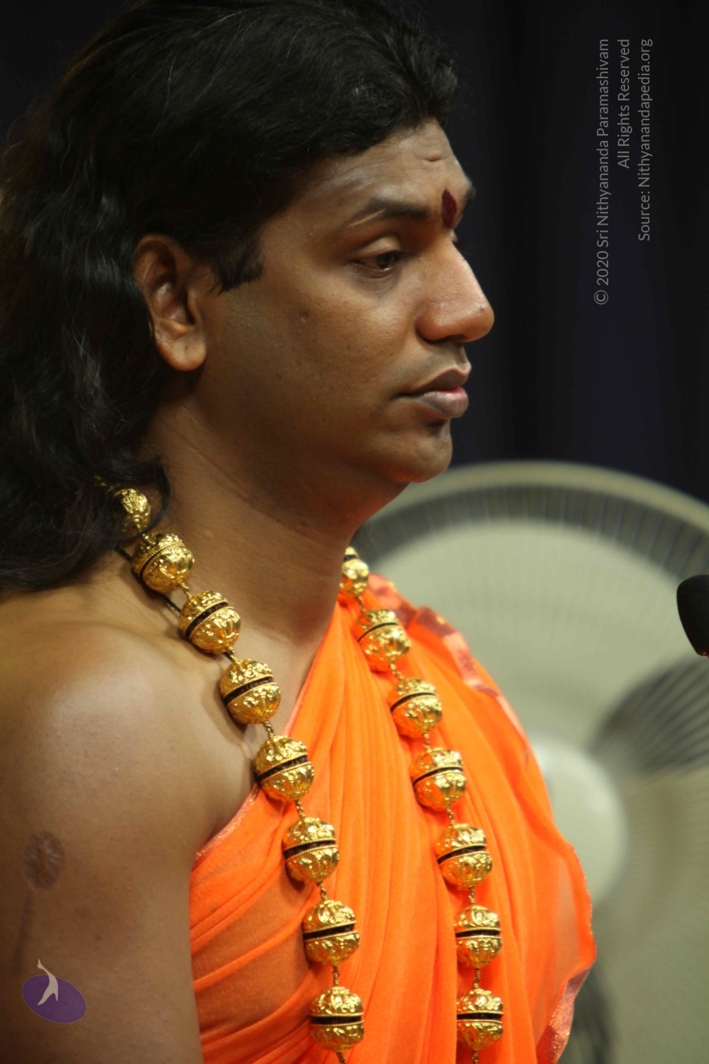 20110227_Photo_1211_IMG_9035_CMP_WM