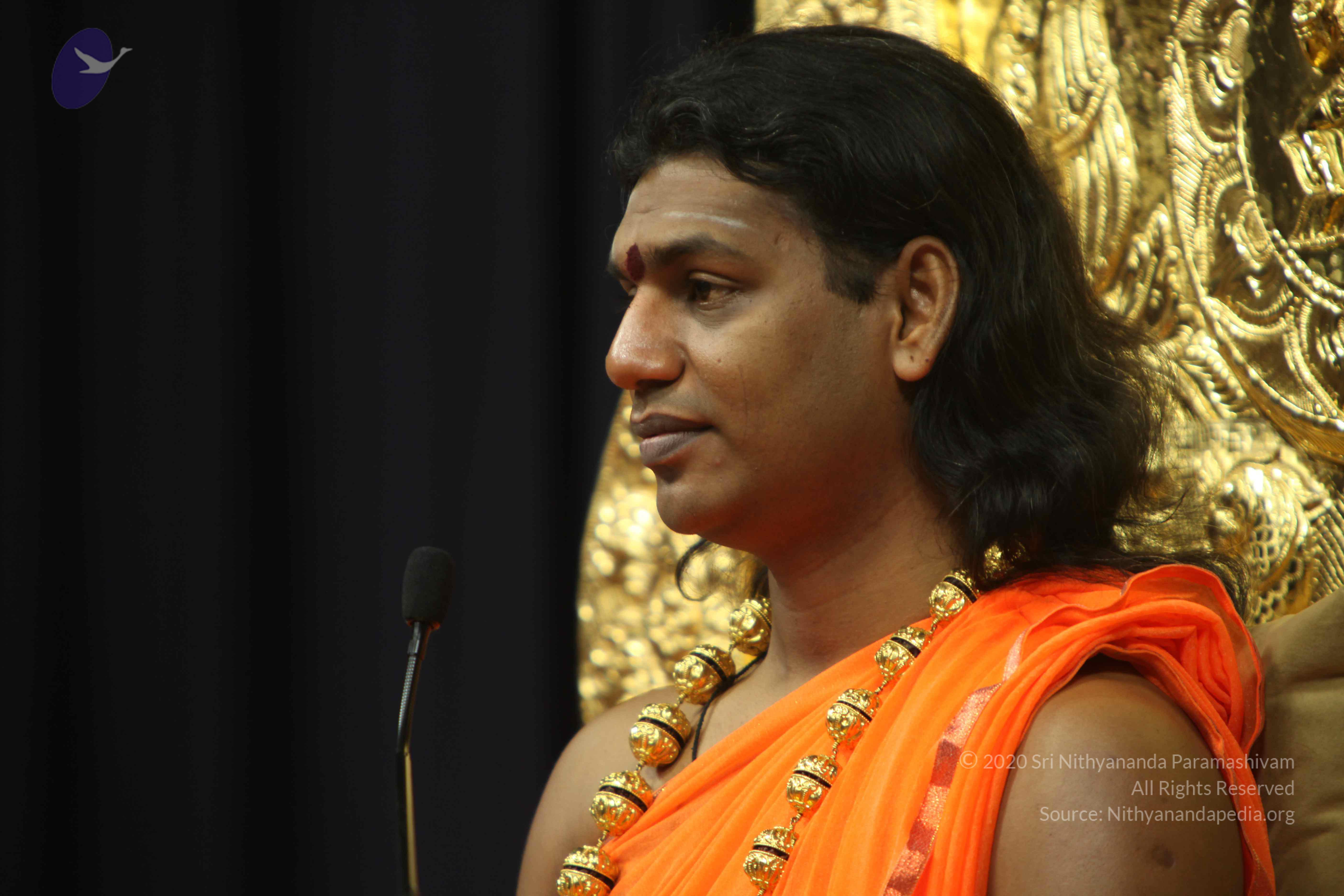 20110227_Photo_1215_IMG_9060_CMP_WM