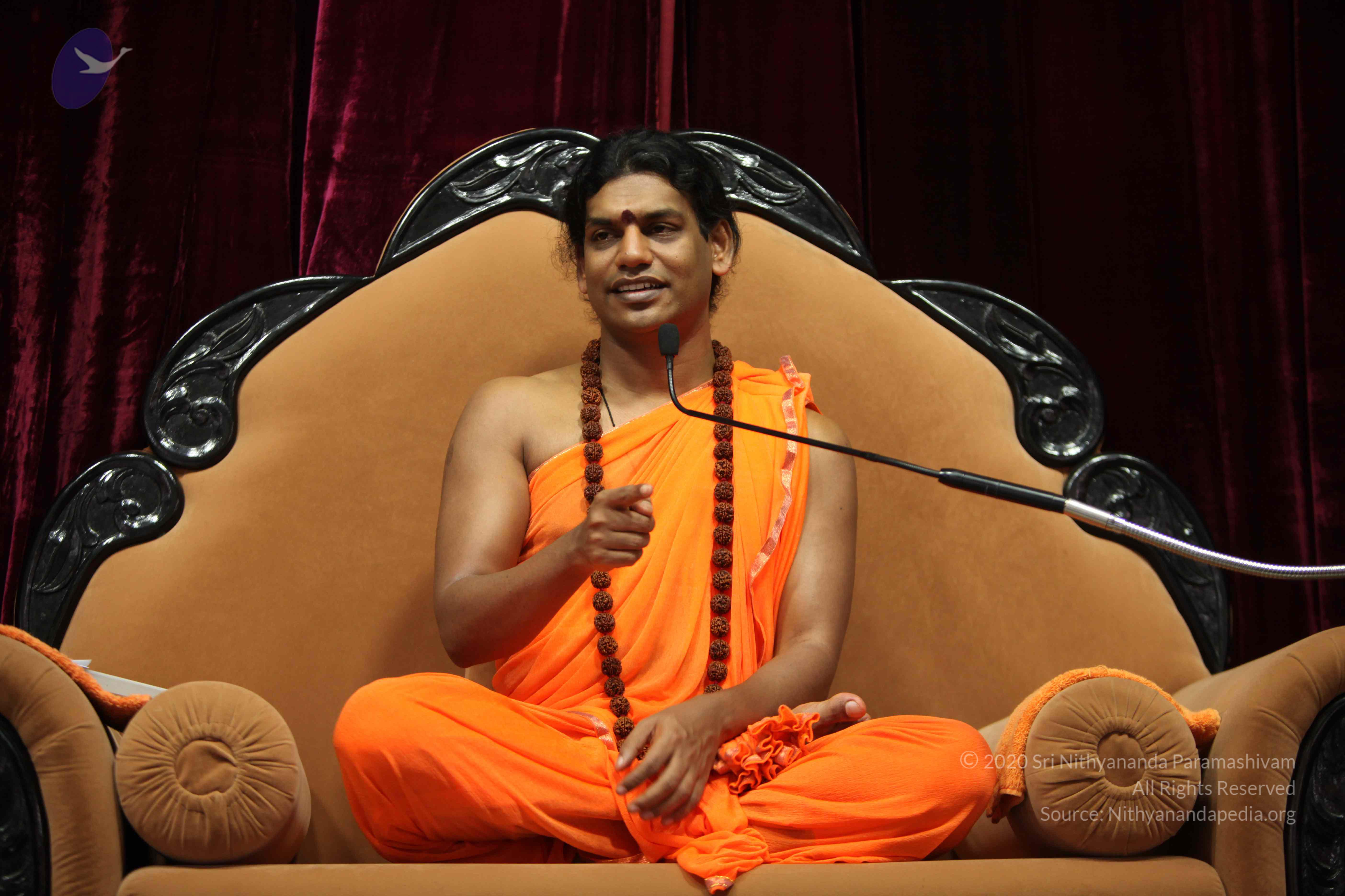 20110227_Photo_1217_IMG_9548_CMP_WM