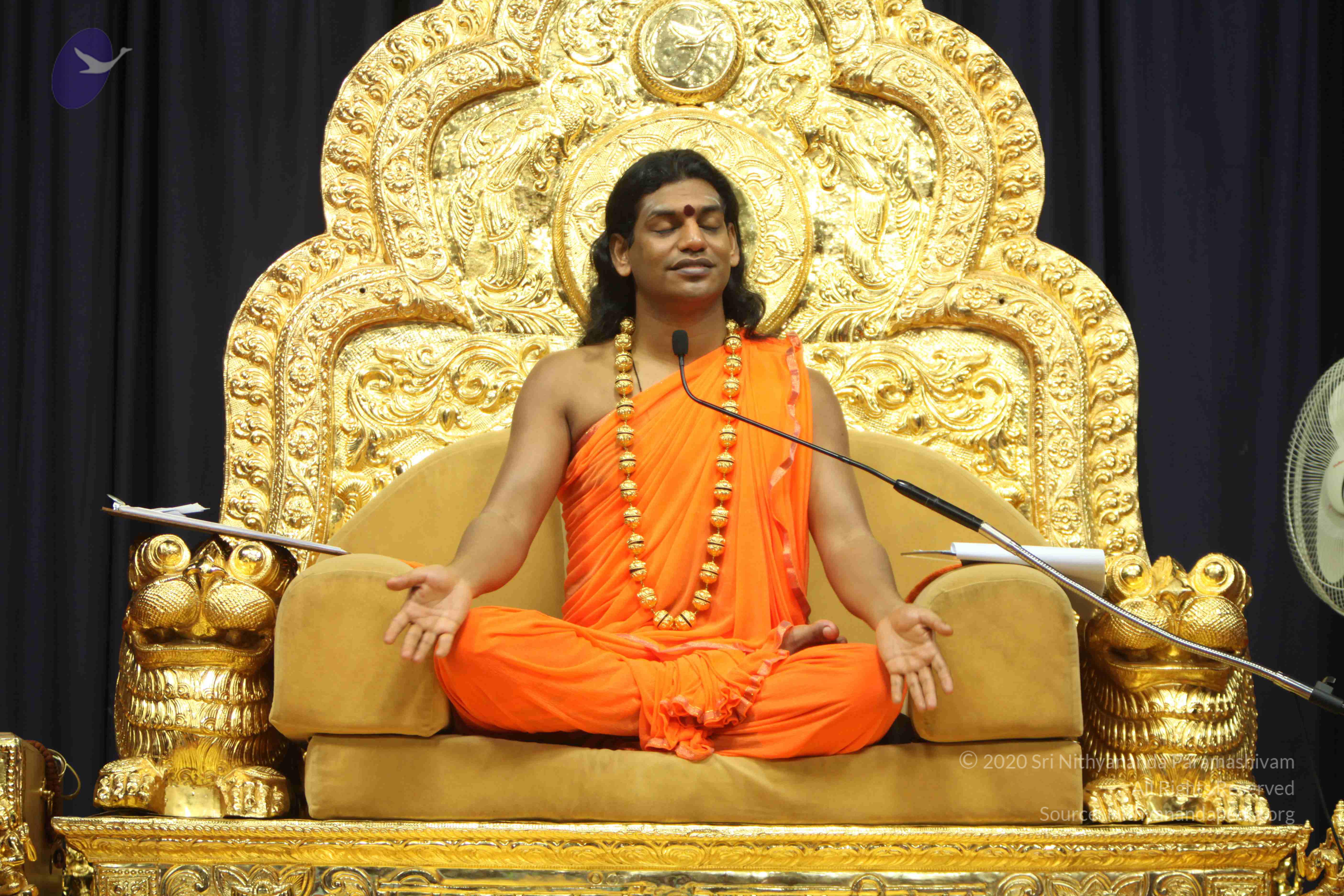 20110227_Photo_1219_IMG_9174_CMP_WM