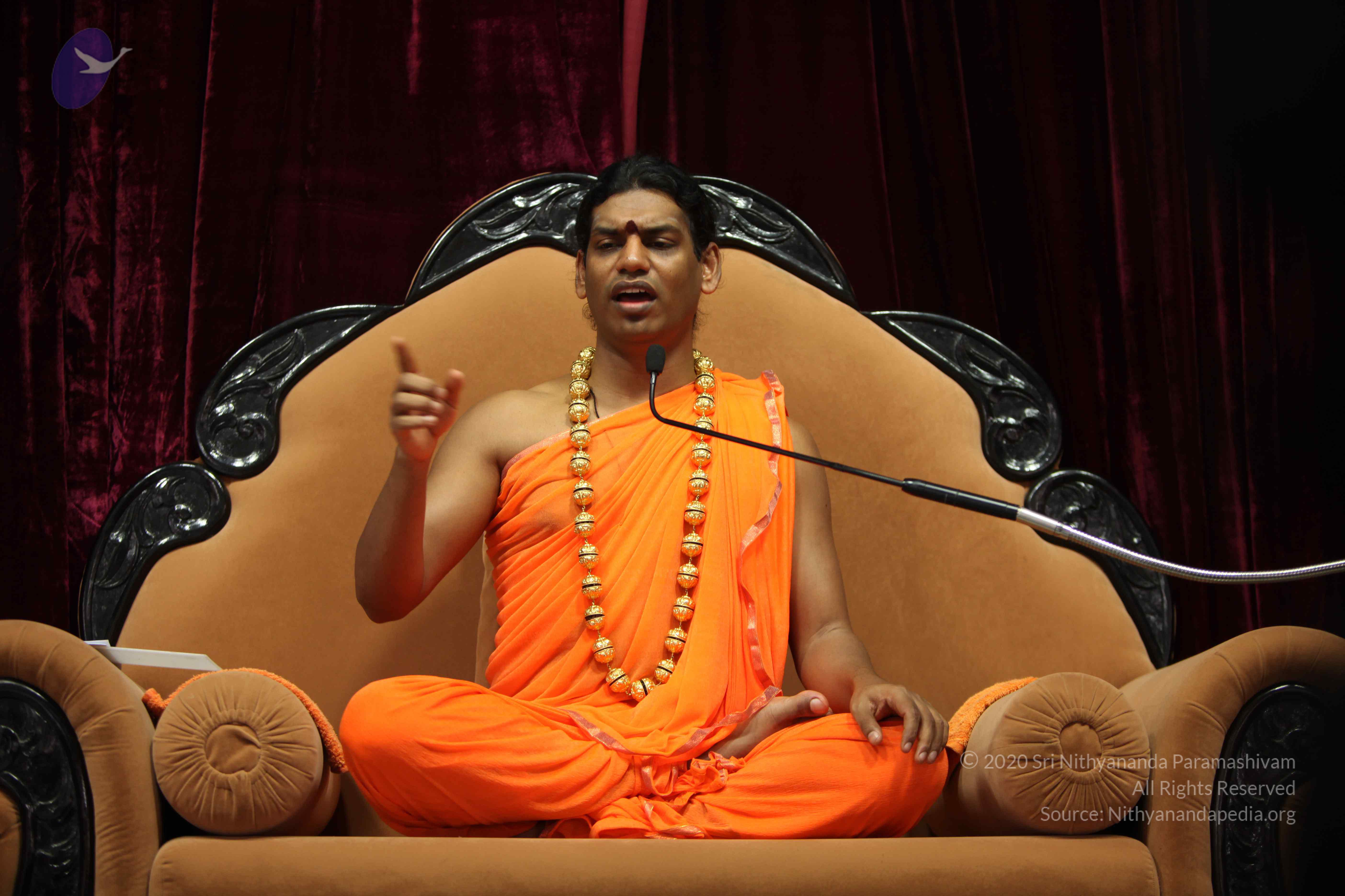 20110227_Photo_1222_IMG_9394_CMP_WM