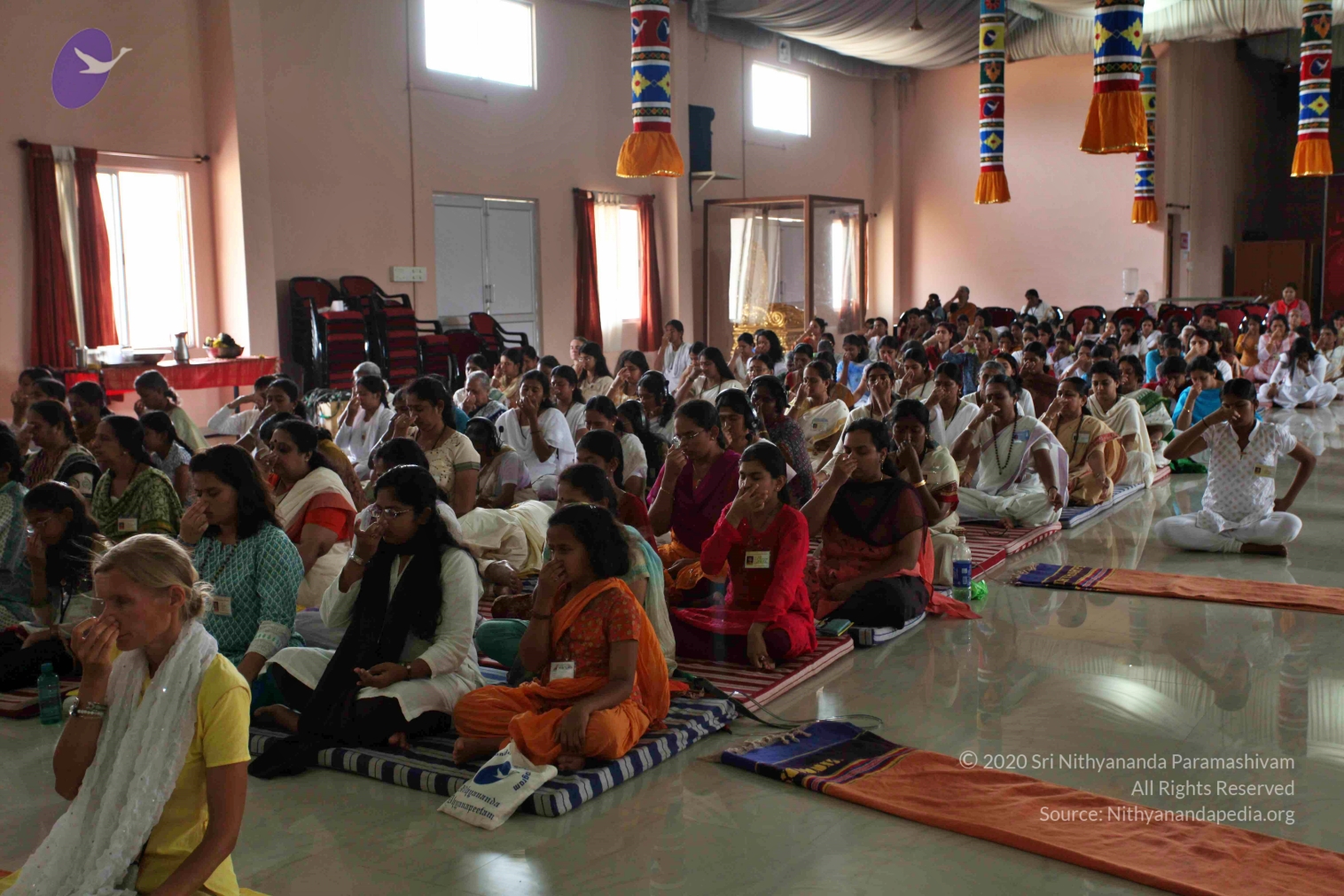 20110227_Photo_1229_IMG_9263_CMP_WM