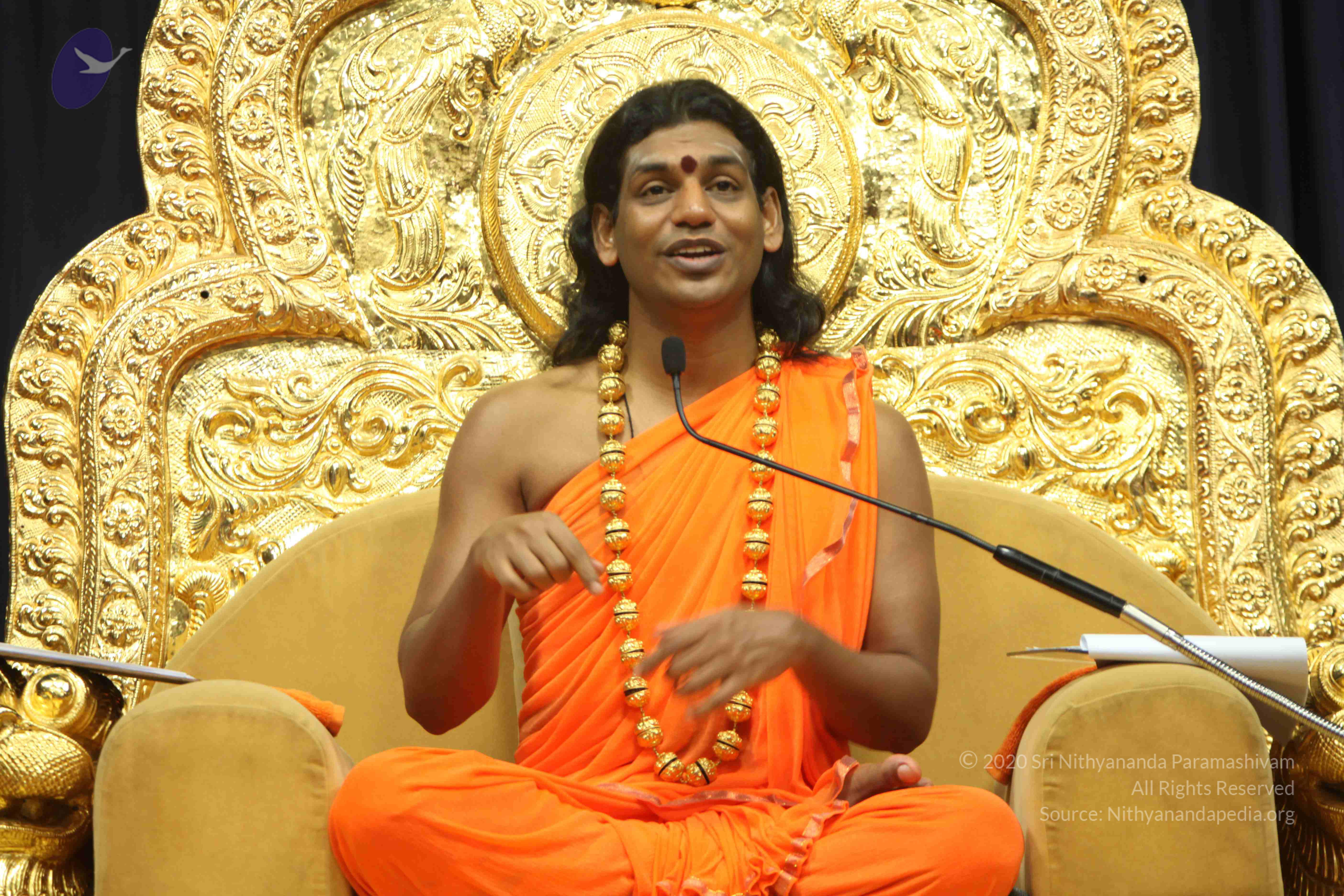 20110227_Photo_1235_IMG_9201_CMP_WM