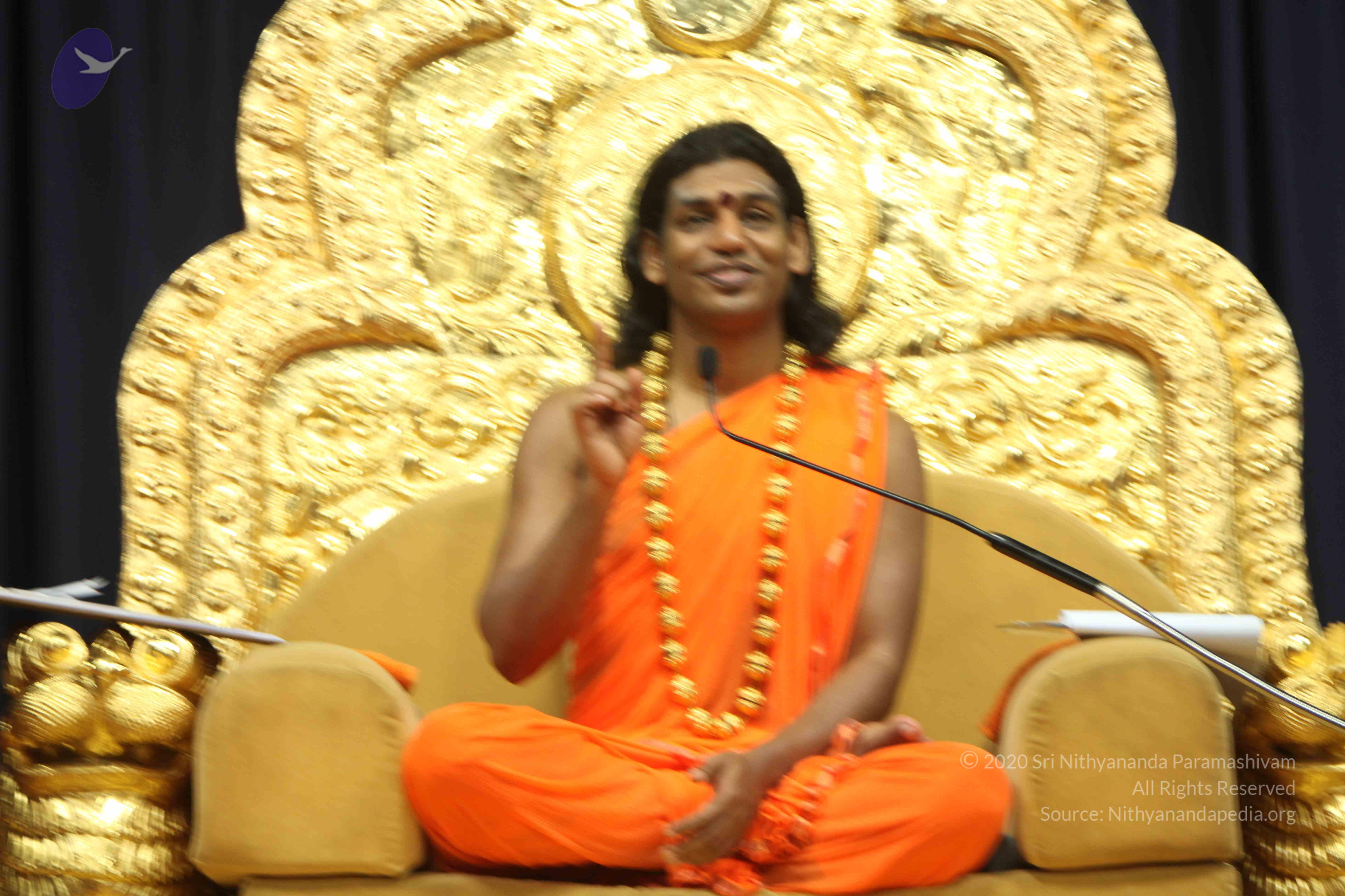 20110227_Photo_1237_IMG_9197_CMP_WM