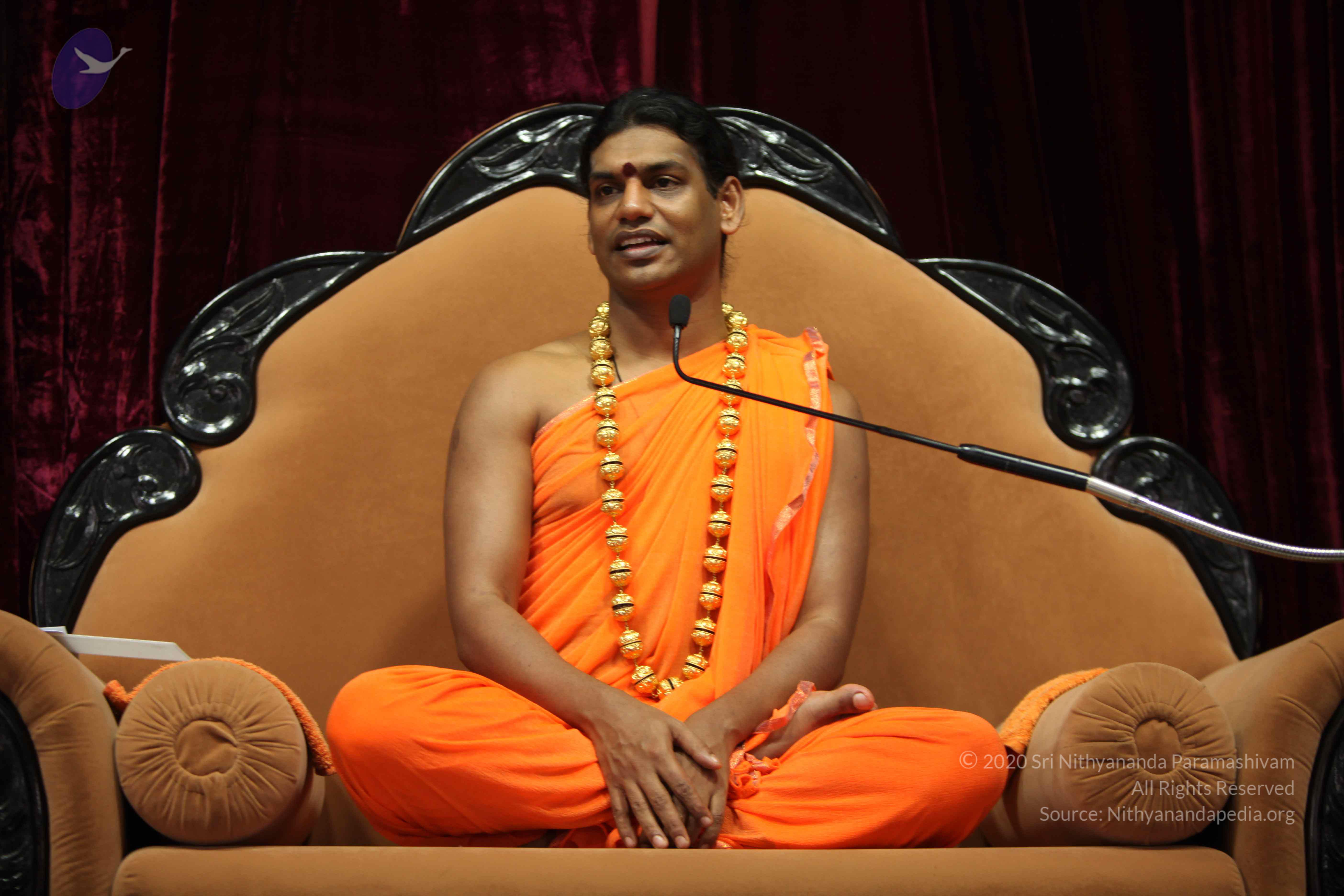 20110227_Photo_1238_IMG_9399_CMP_WM