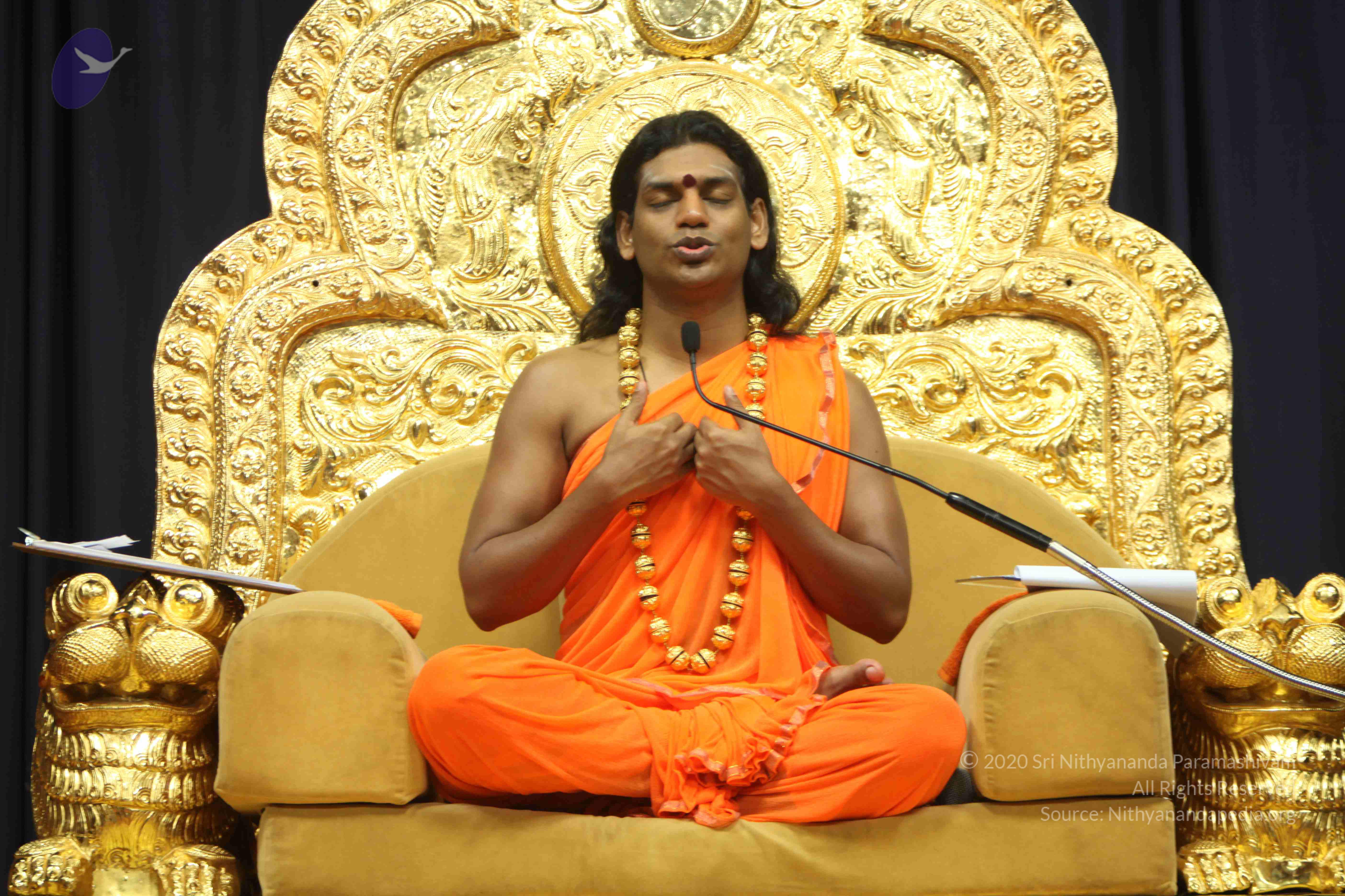 20110227_Photo_1239_IMG_9186_CMP_WM