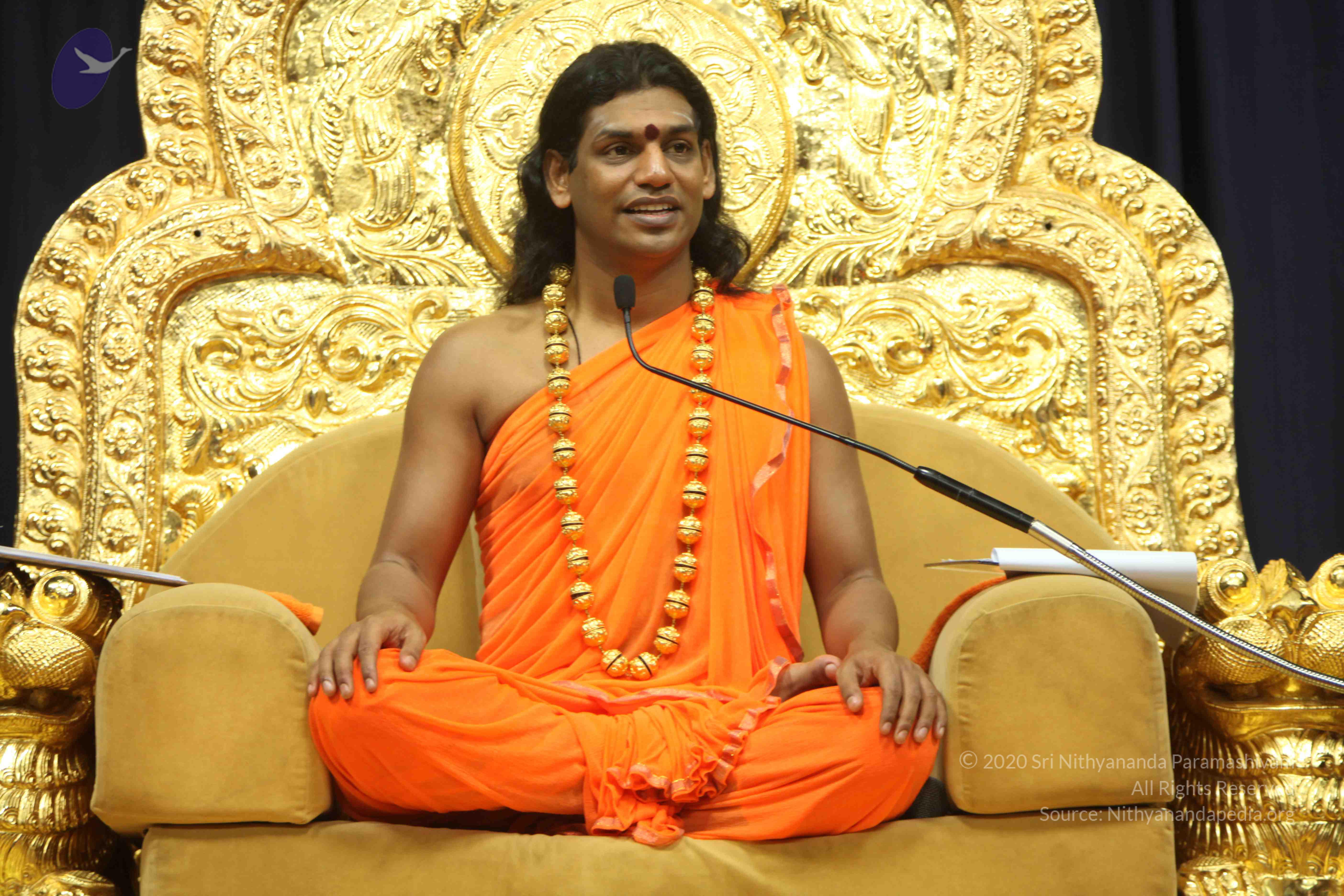 20110227_Photo_1241_IMG_9210_CMP_WM