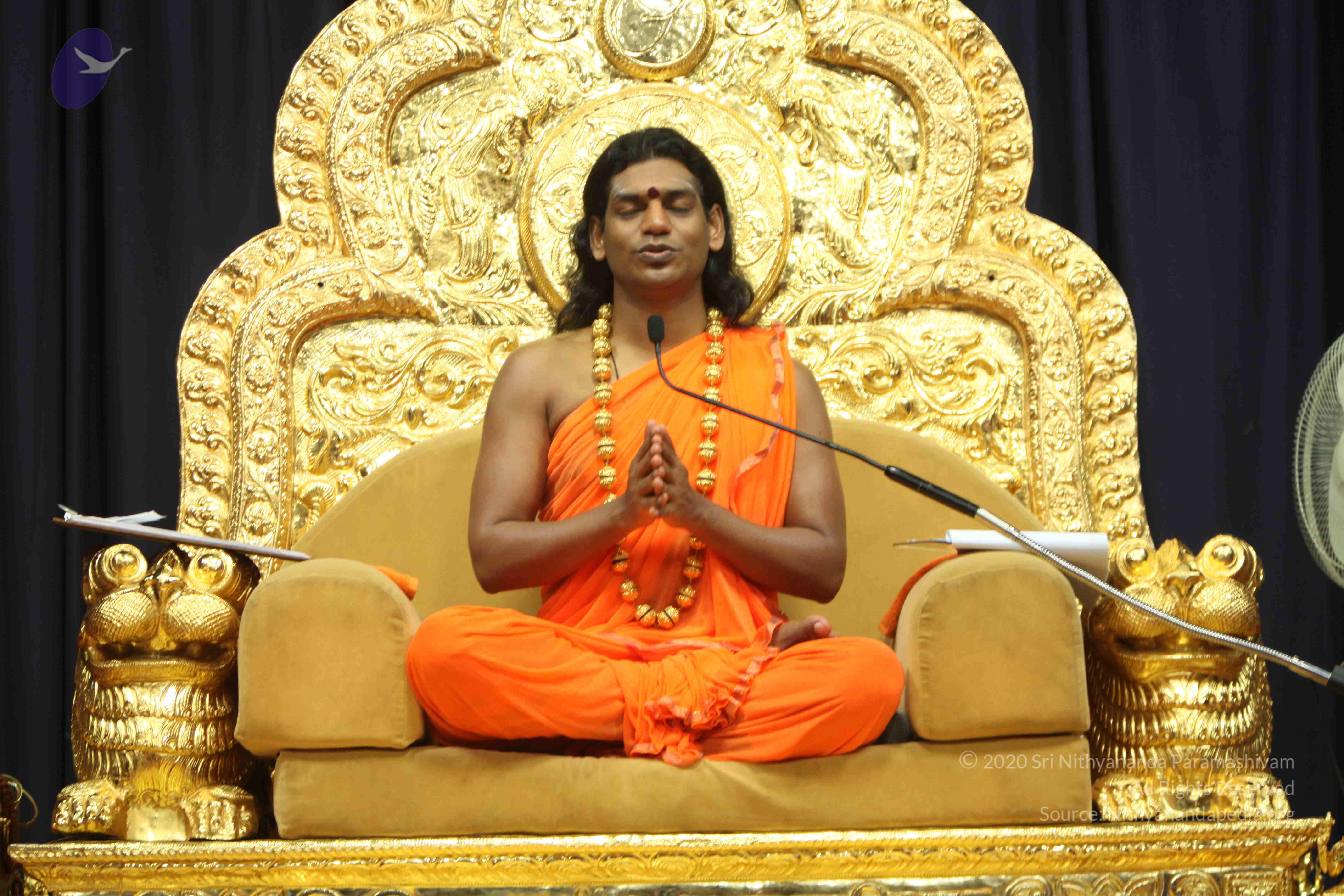 20110227_Photo_1245_IMG_9179_CMP_WM