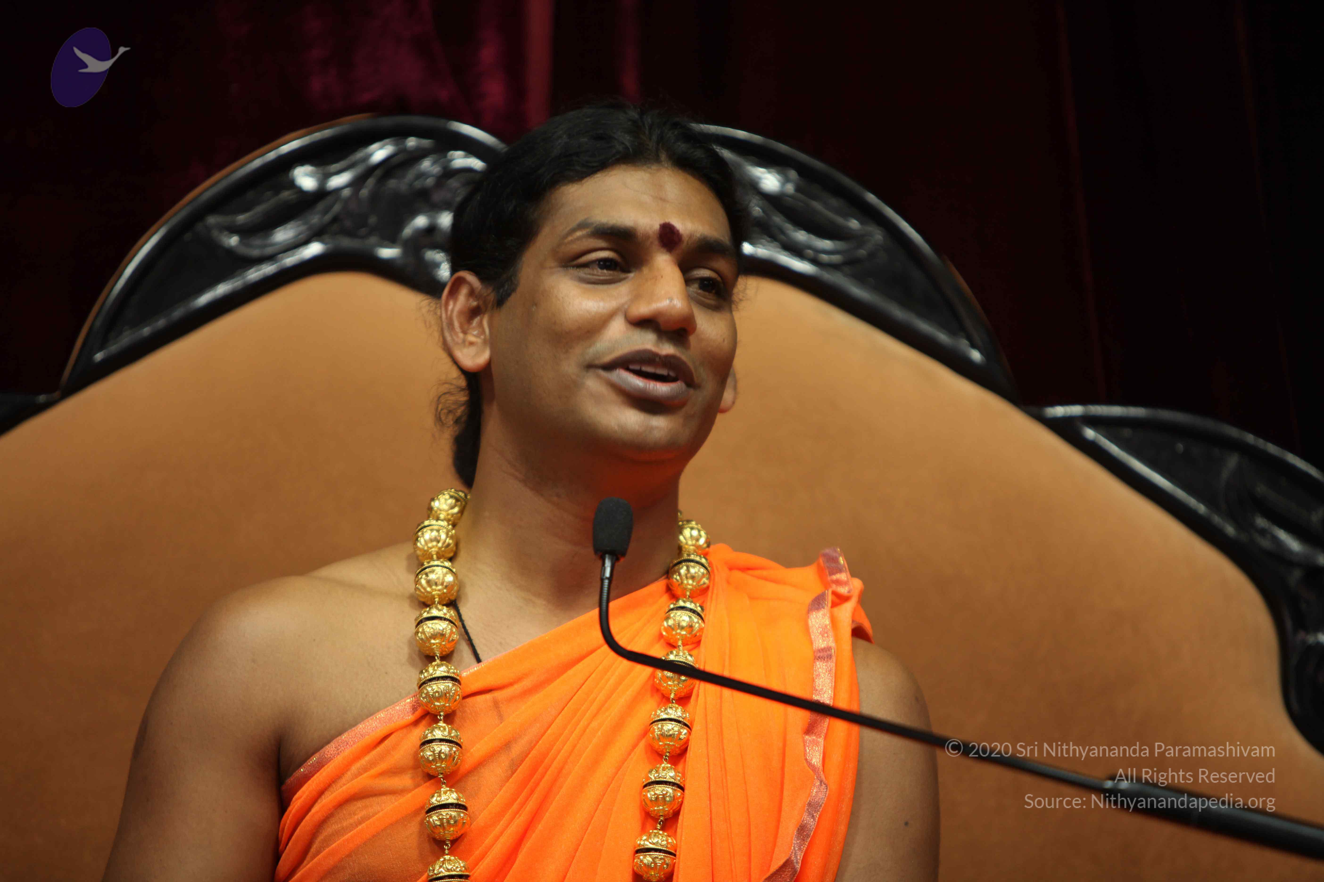 20110227_Photo_1246_IMG_9466_CMP_WM