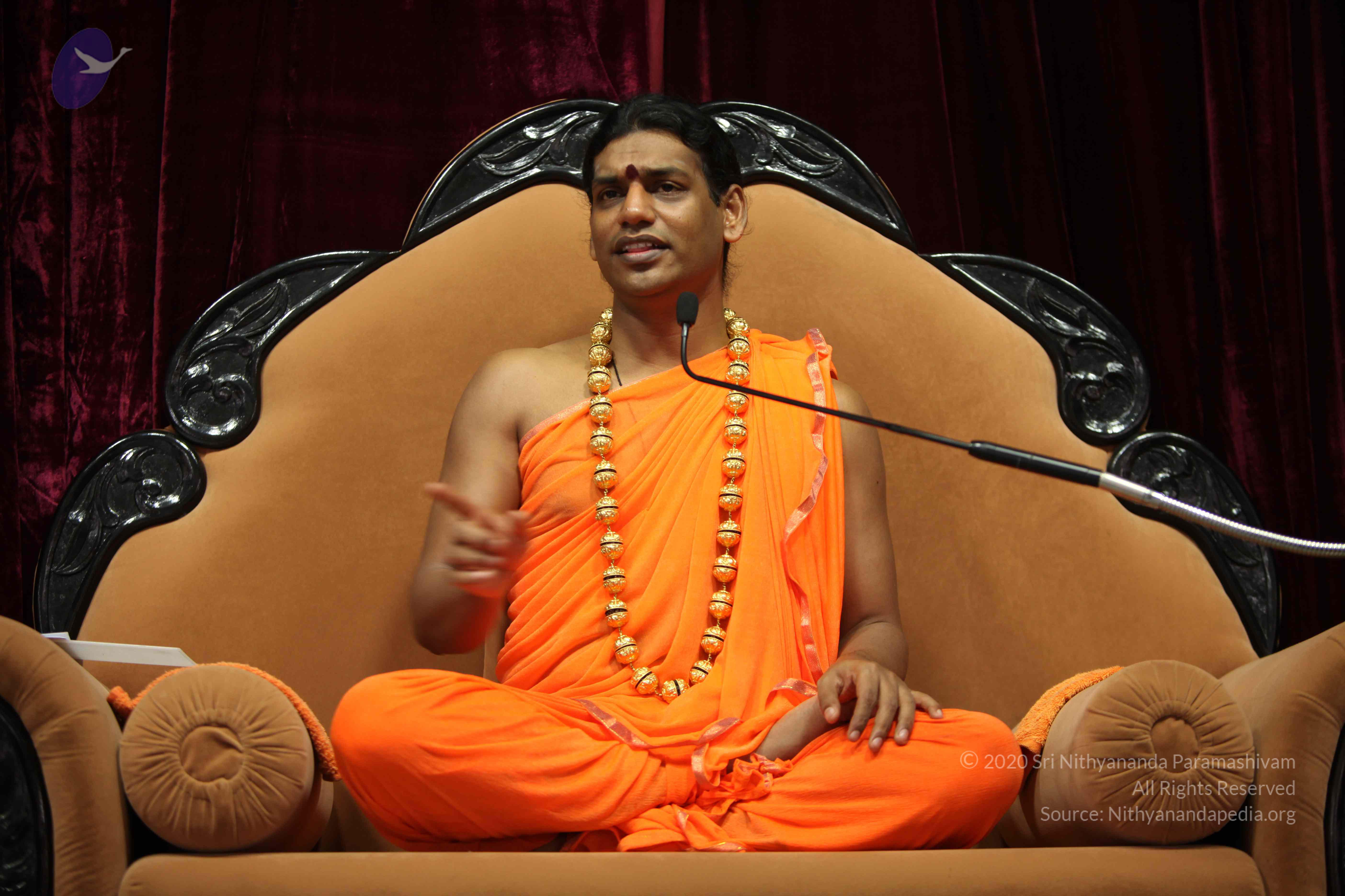 20110227_Photo_1264_IMG_9454_CMP_WM