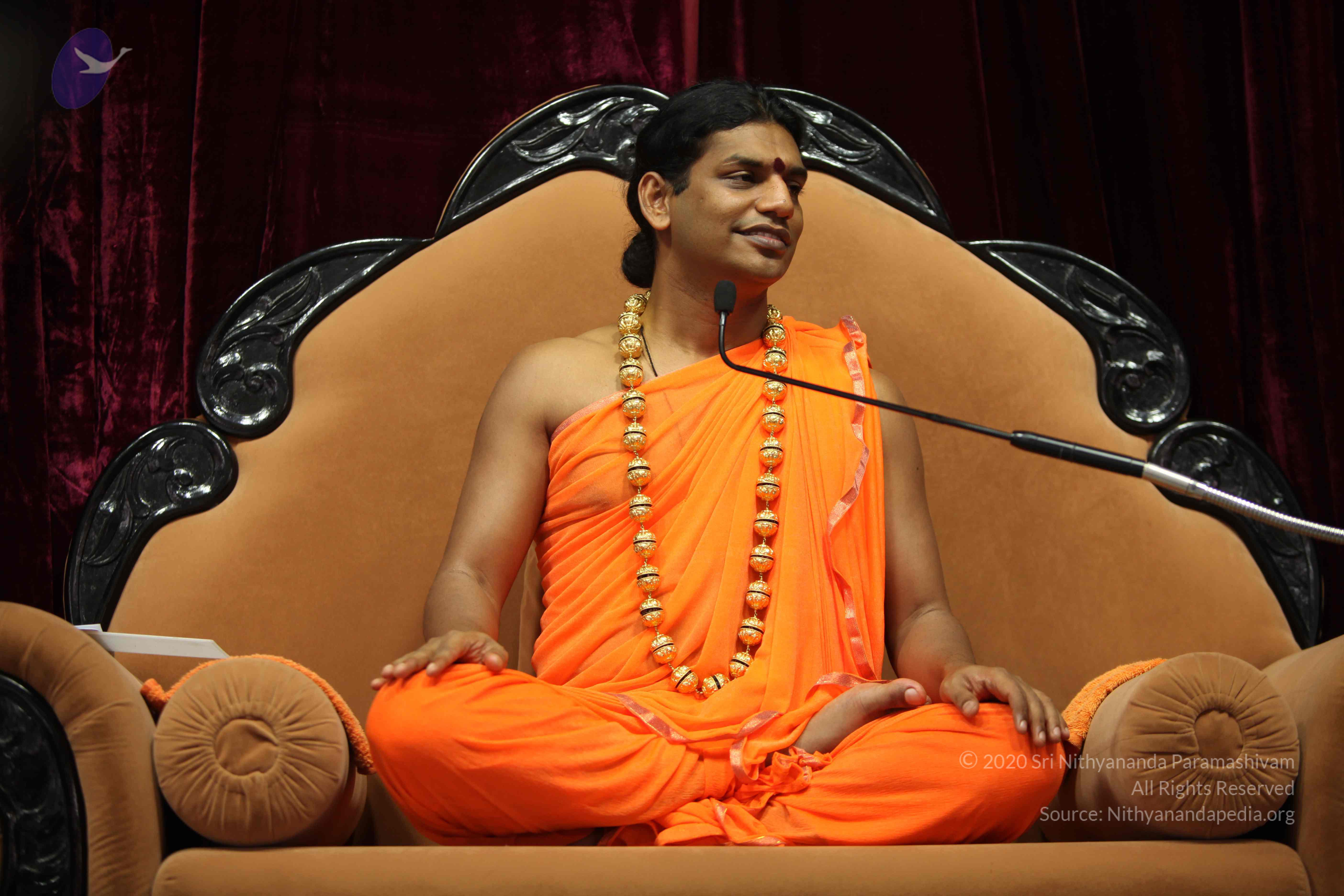 20110227_Photo_1266_IMG_9463_CMP_WM