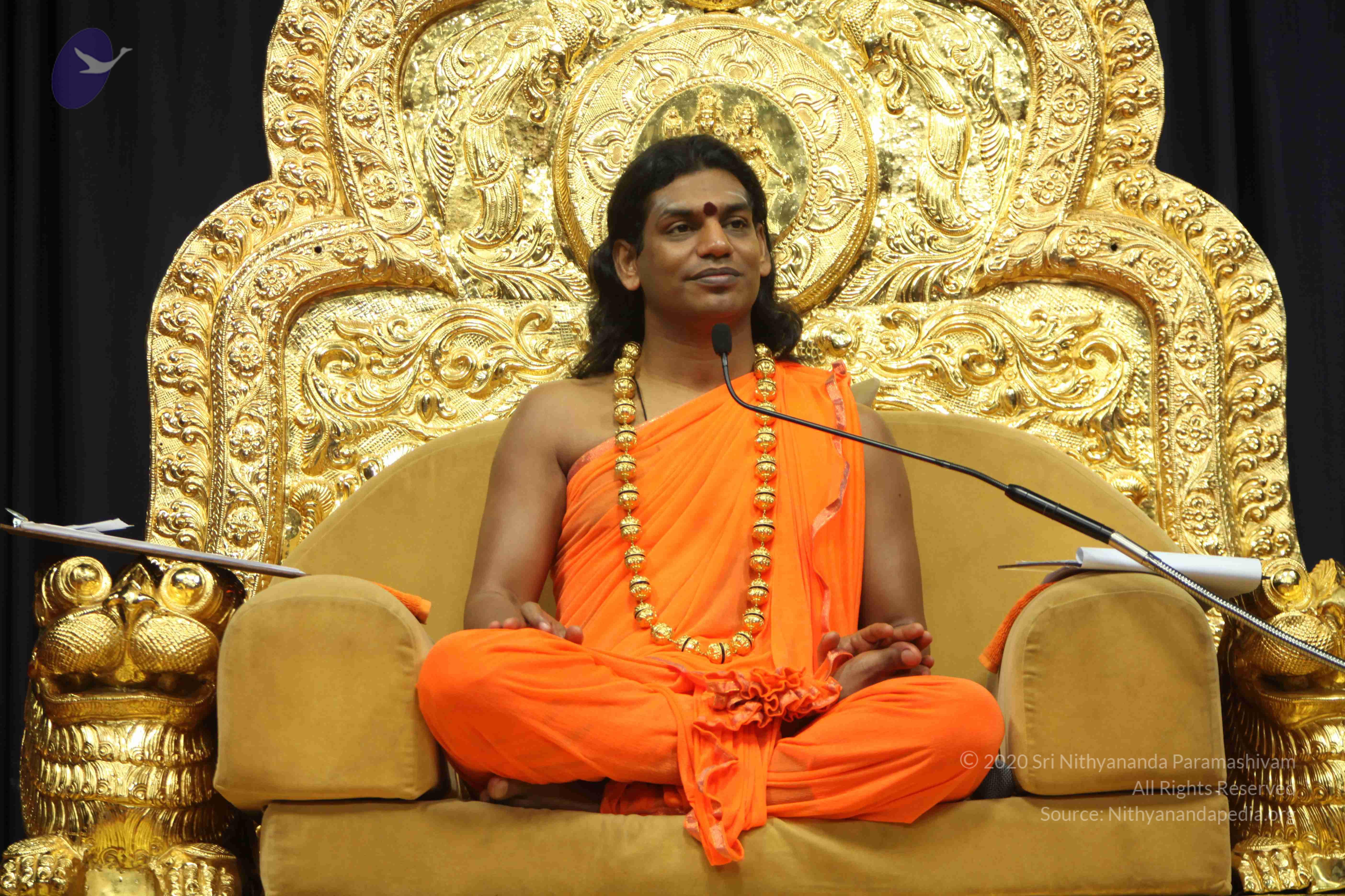 20110227_Photo_1269_IMG_9068_CMP_WM