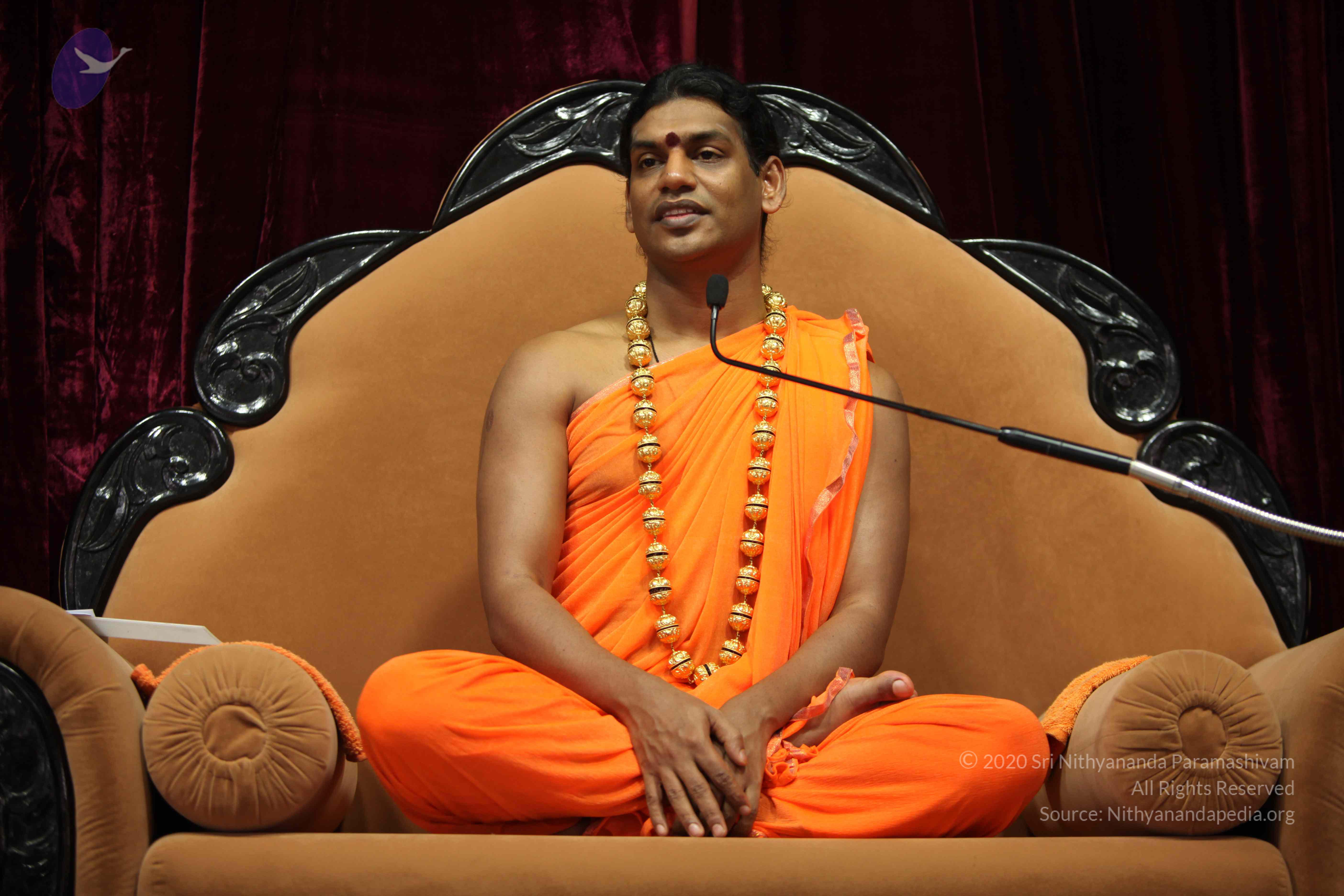 20110227_Photo_1273_IMG_9401_CMP_WM