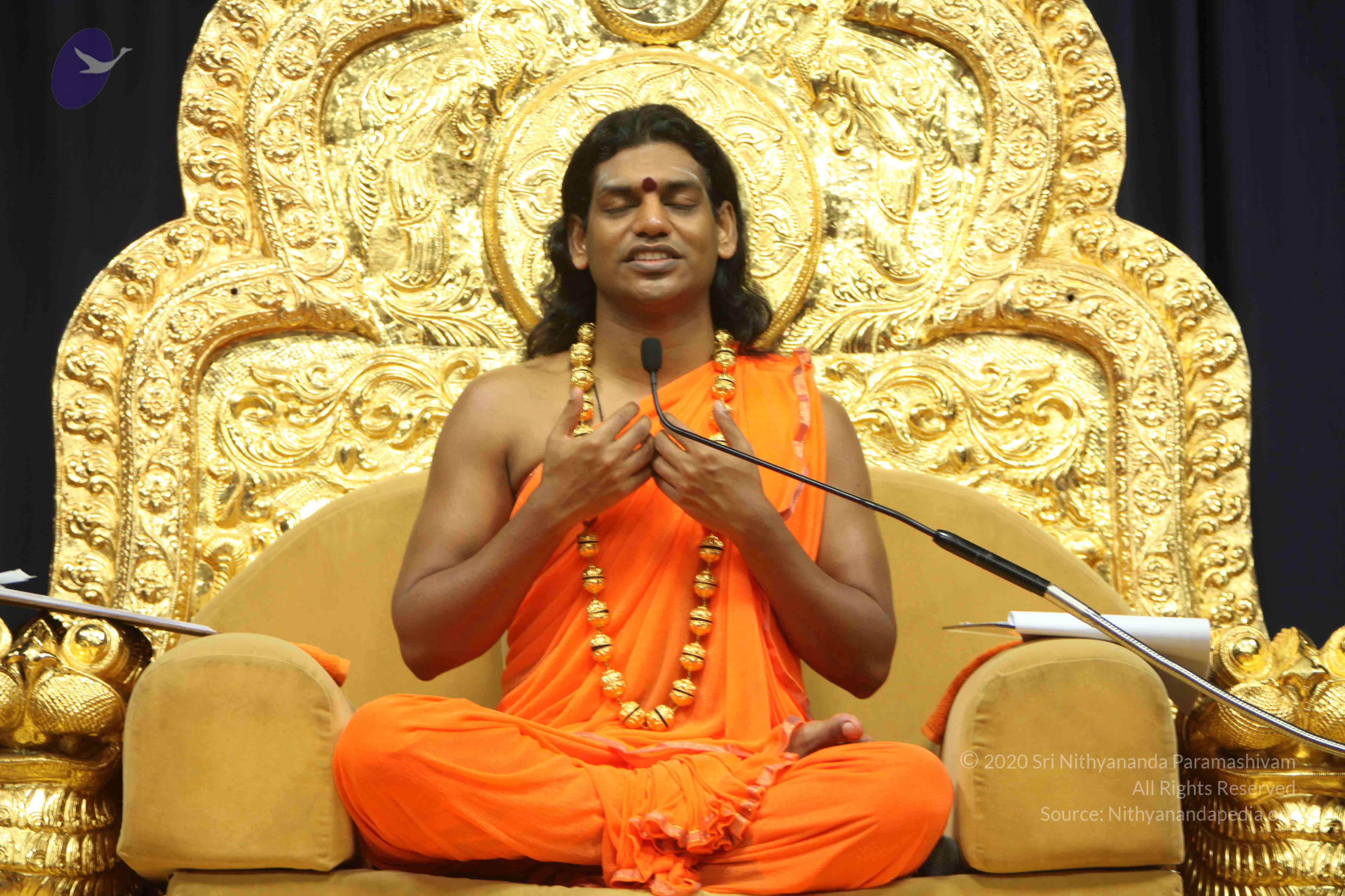 20110227_Photo_1278_IMG_9183_CMP_WM