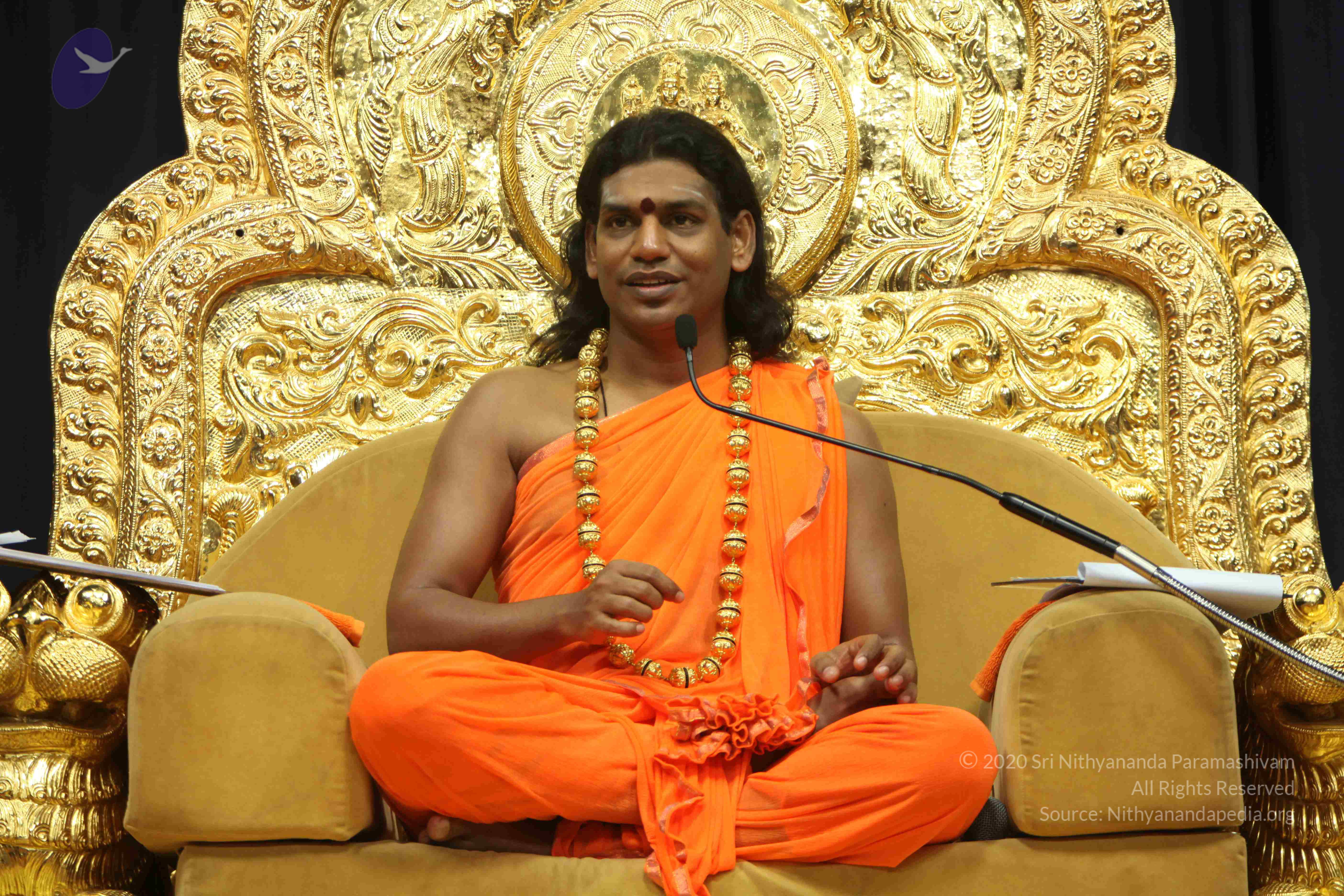 20110227_Photo_1279_IMG_9074_CMP_WM