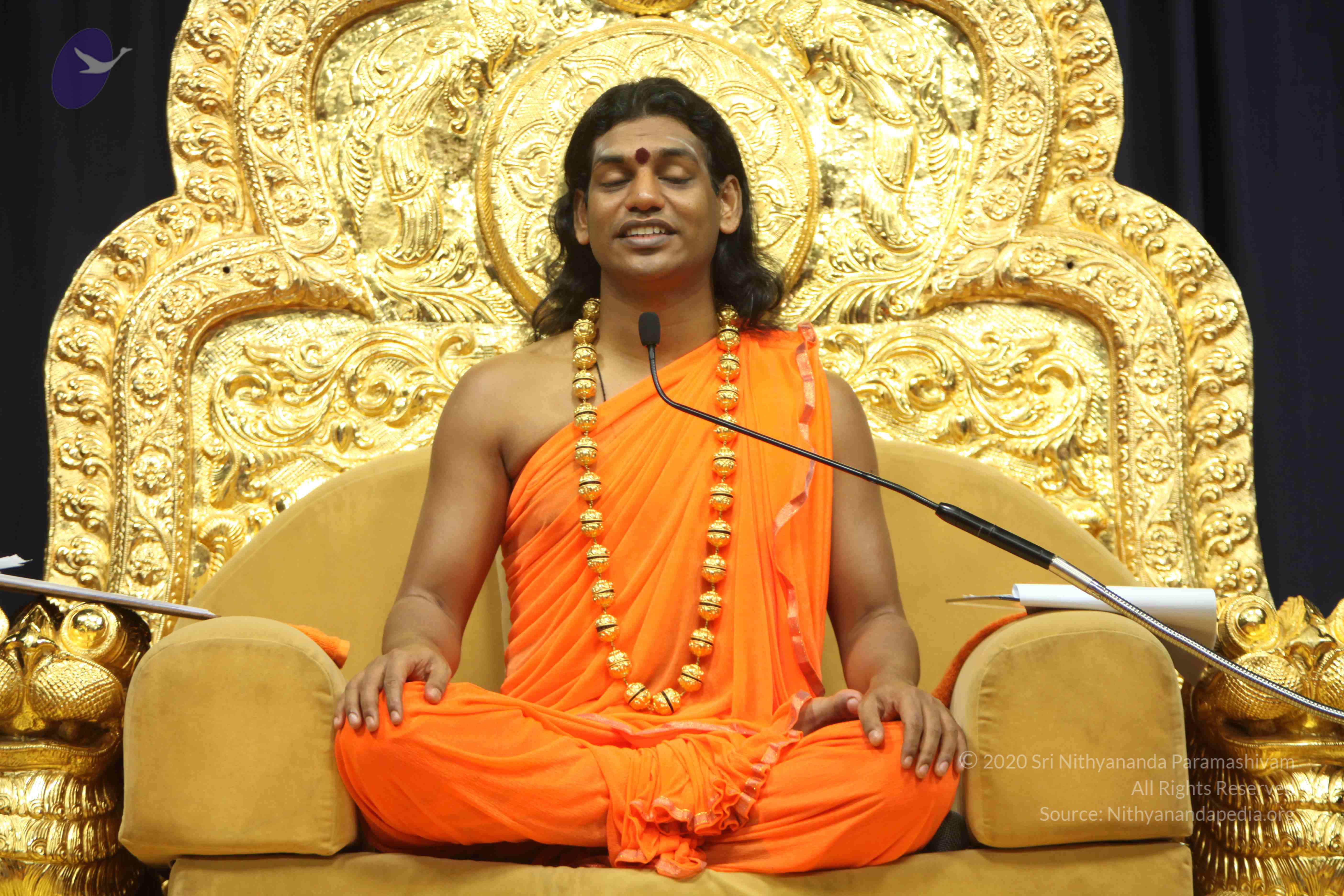 20110227_Photo_1280_IMG_9209_CMP_WM