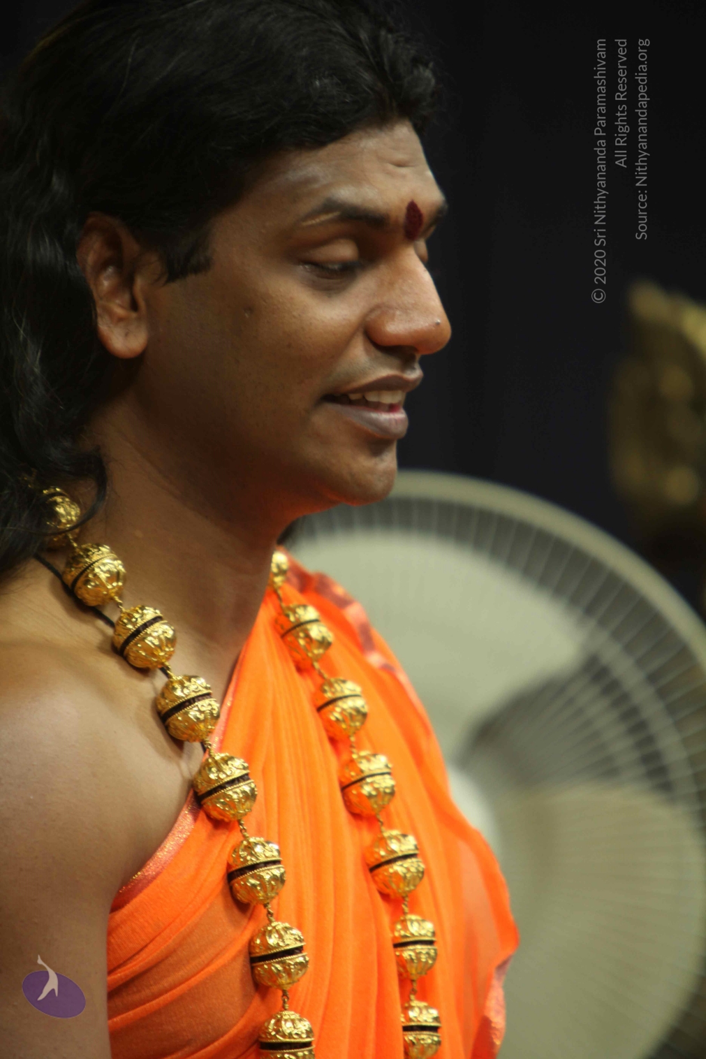 20110227_Photo_1281_IMG_9043_CMP_WM