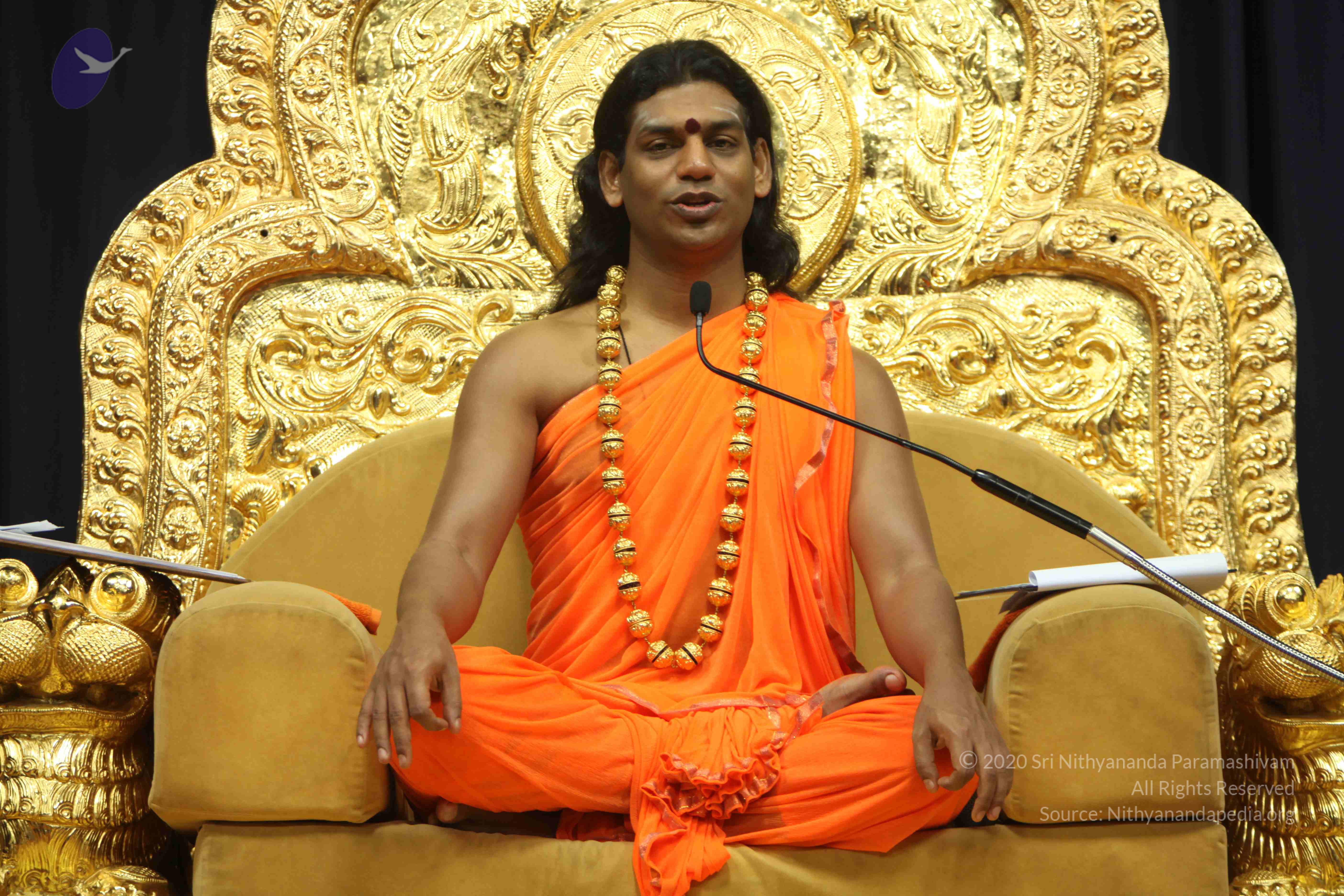 20110227_Photo_1285_IMG_9021_CMP_WM