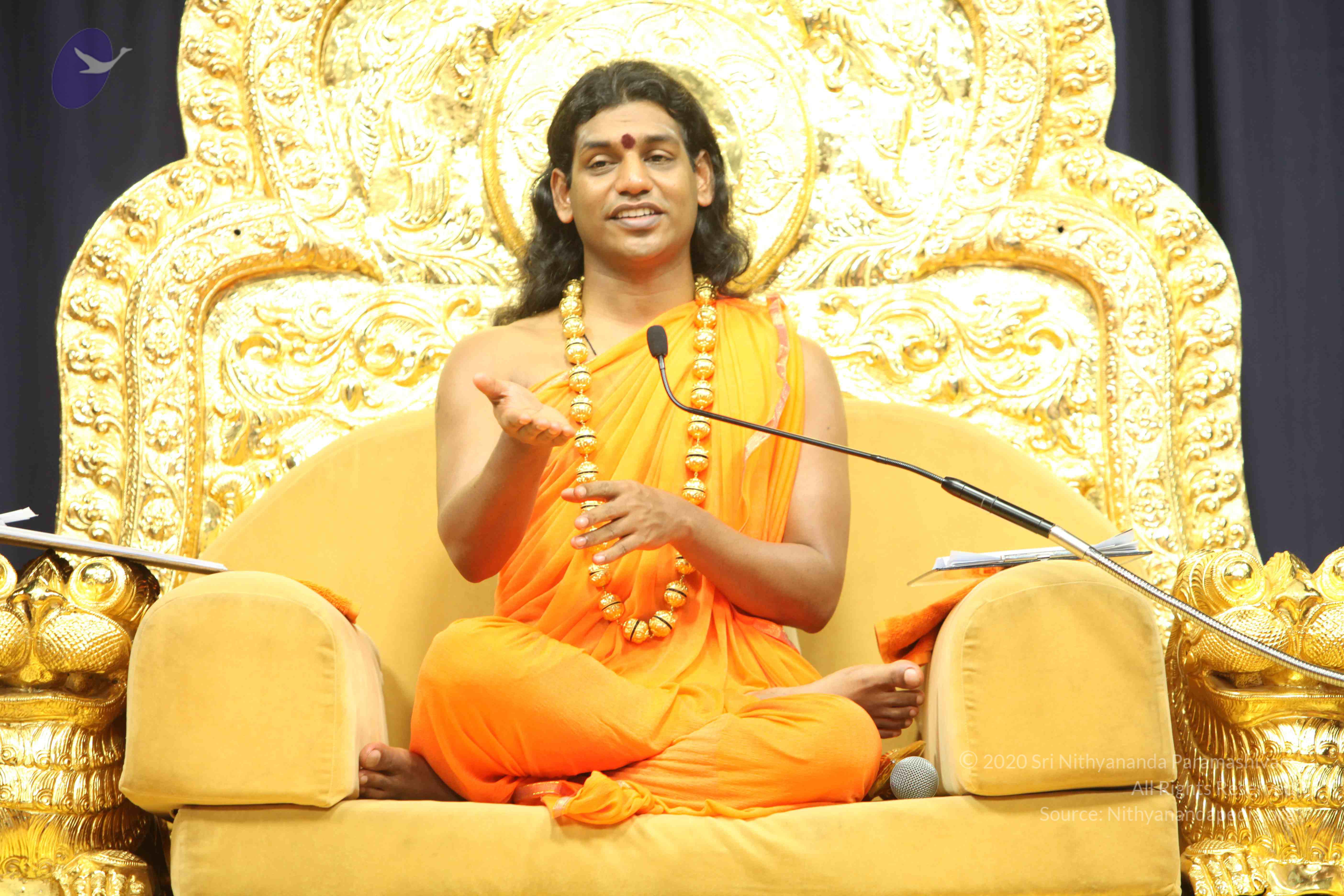 20110227_Photo_1290_IMG_9285_CMP_WM