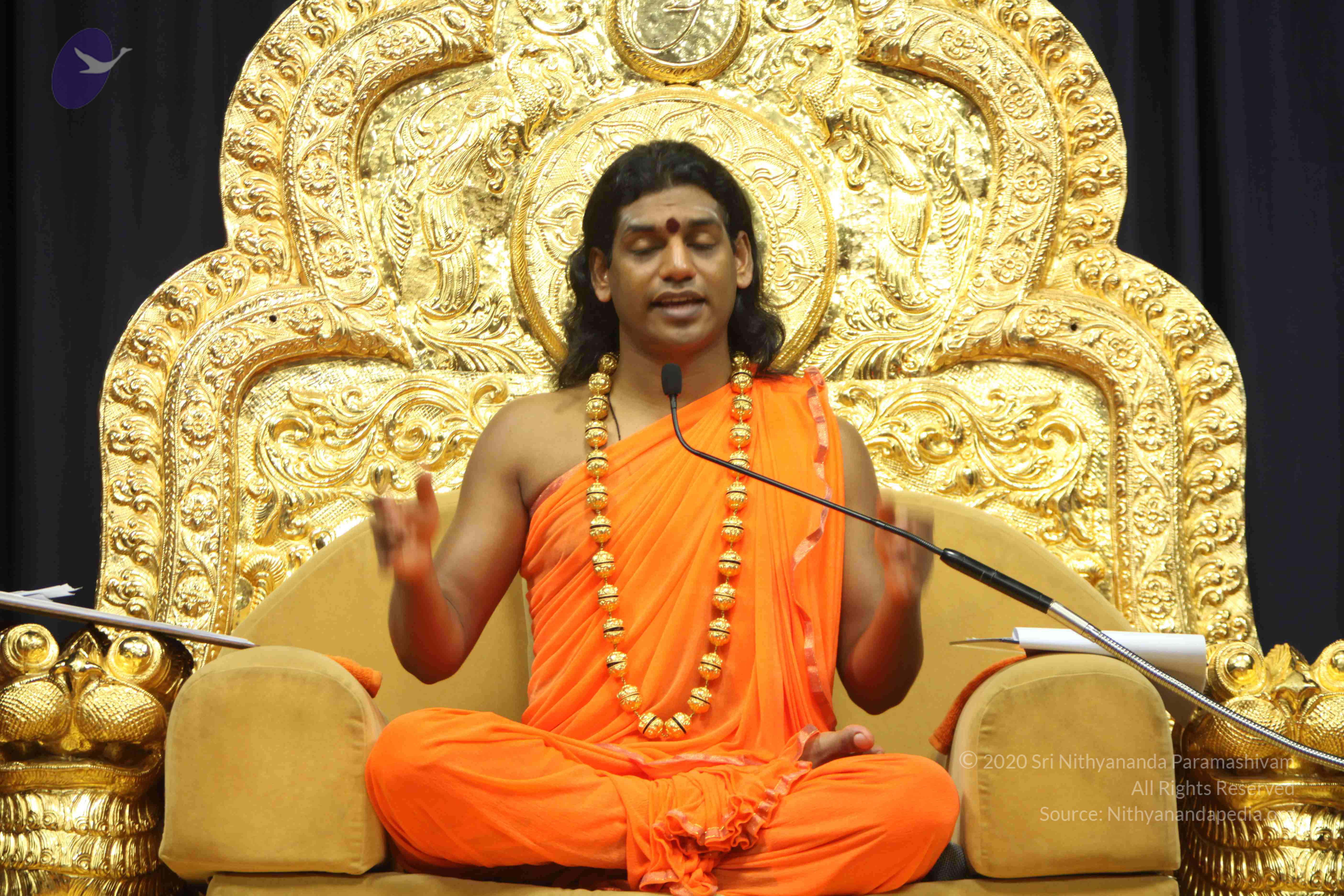 20110227_Photo_1291_IMG_9124_CMP_WM