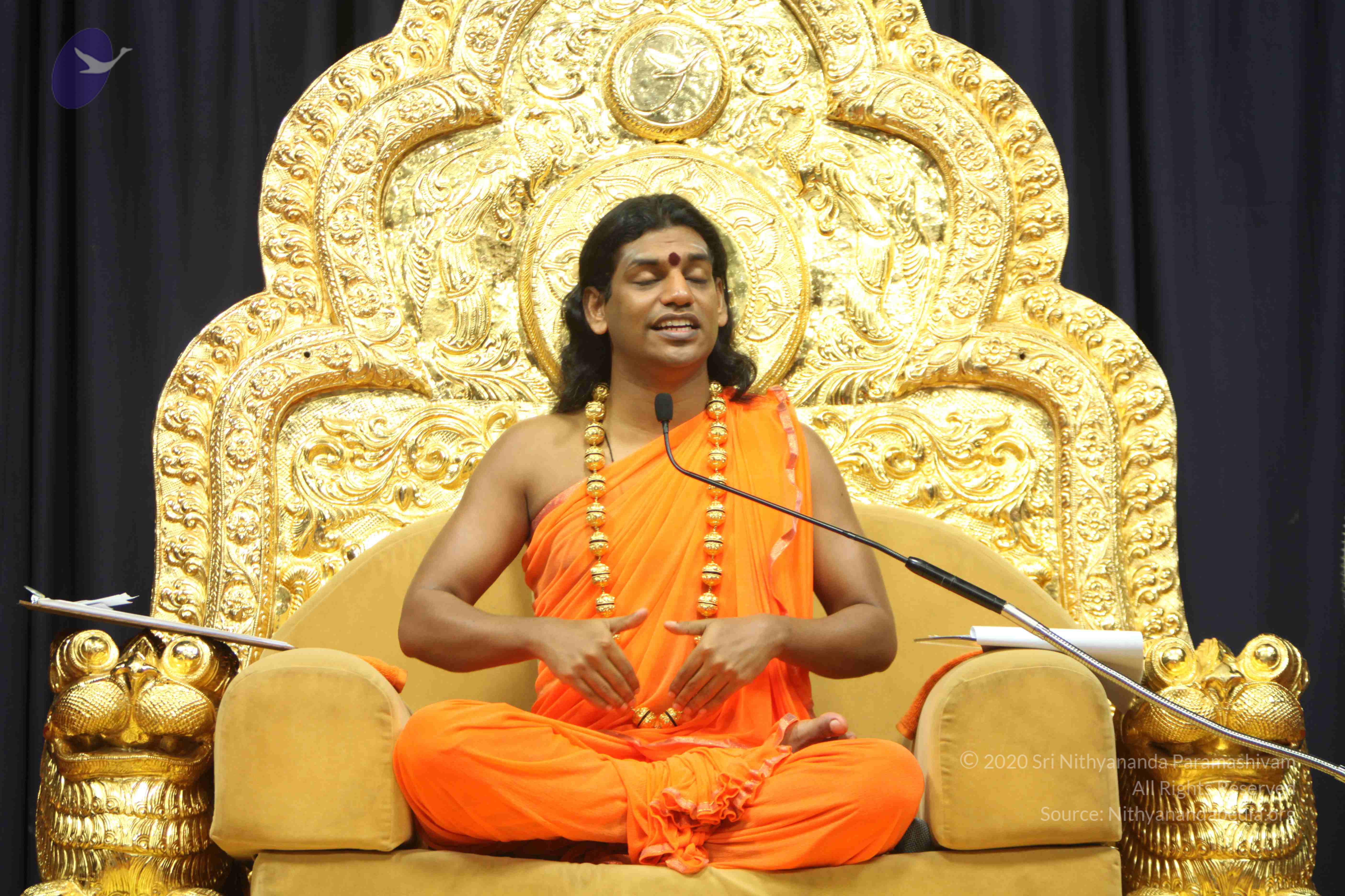 20110227_Photo_1292_IMG_9113_CMP_WM