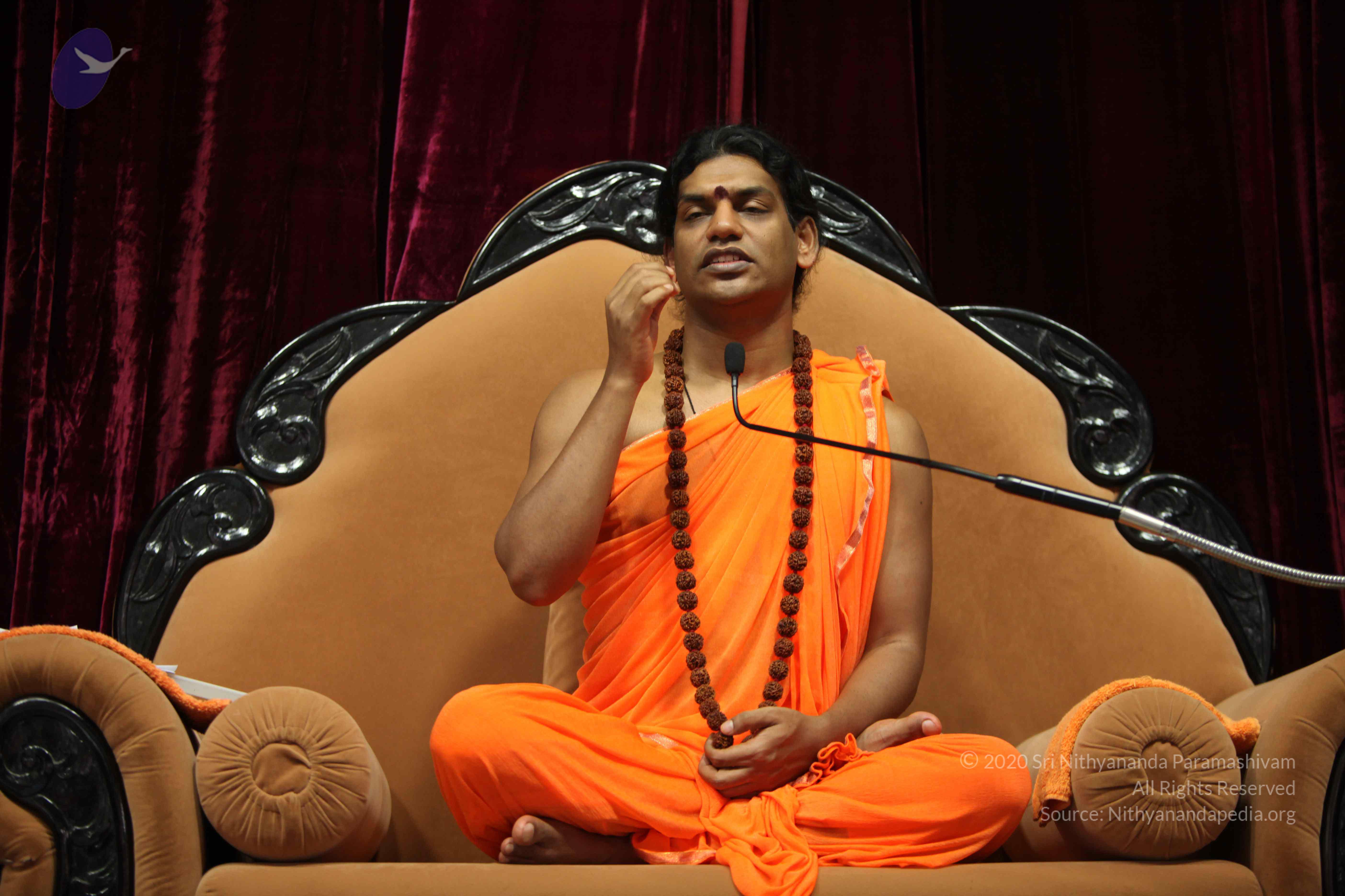 20110227_Photo_1294_IMG_9518_CMP_WM