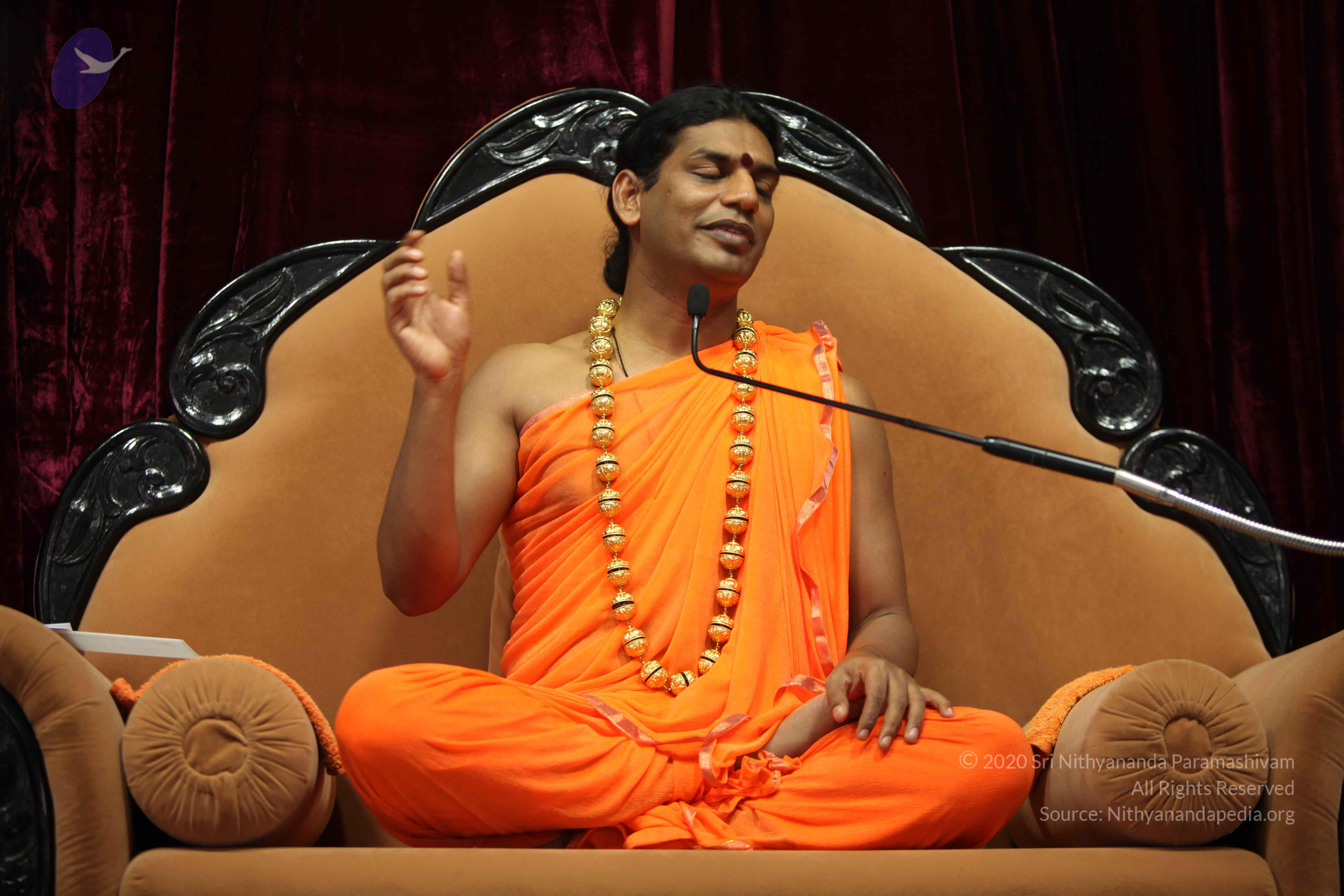 20110227_Photo_1296_IMG_9459_CMP_WM