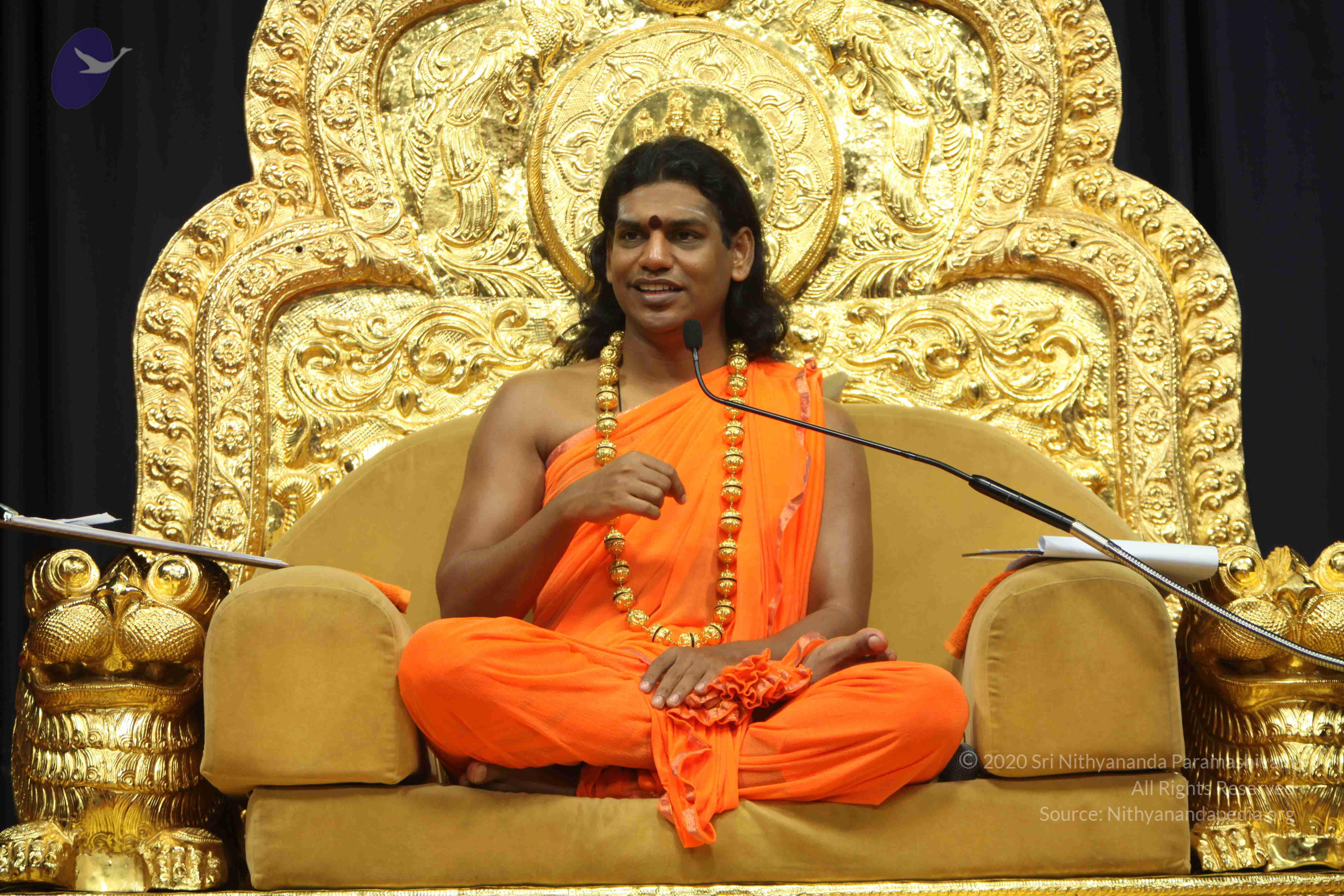 20110227_Photo_1300_IMG_9065_CMP_WM