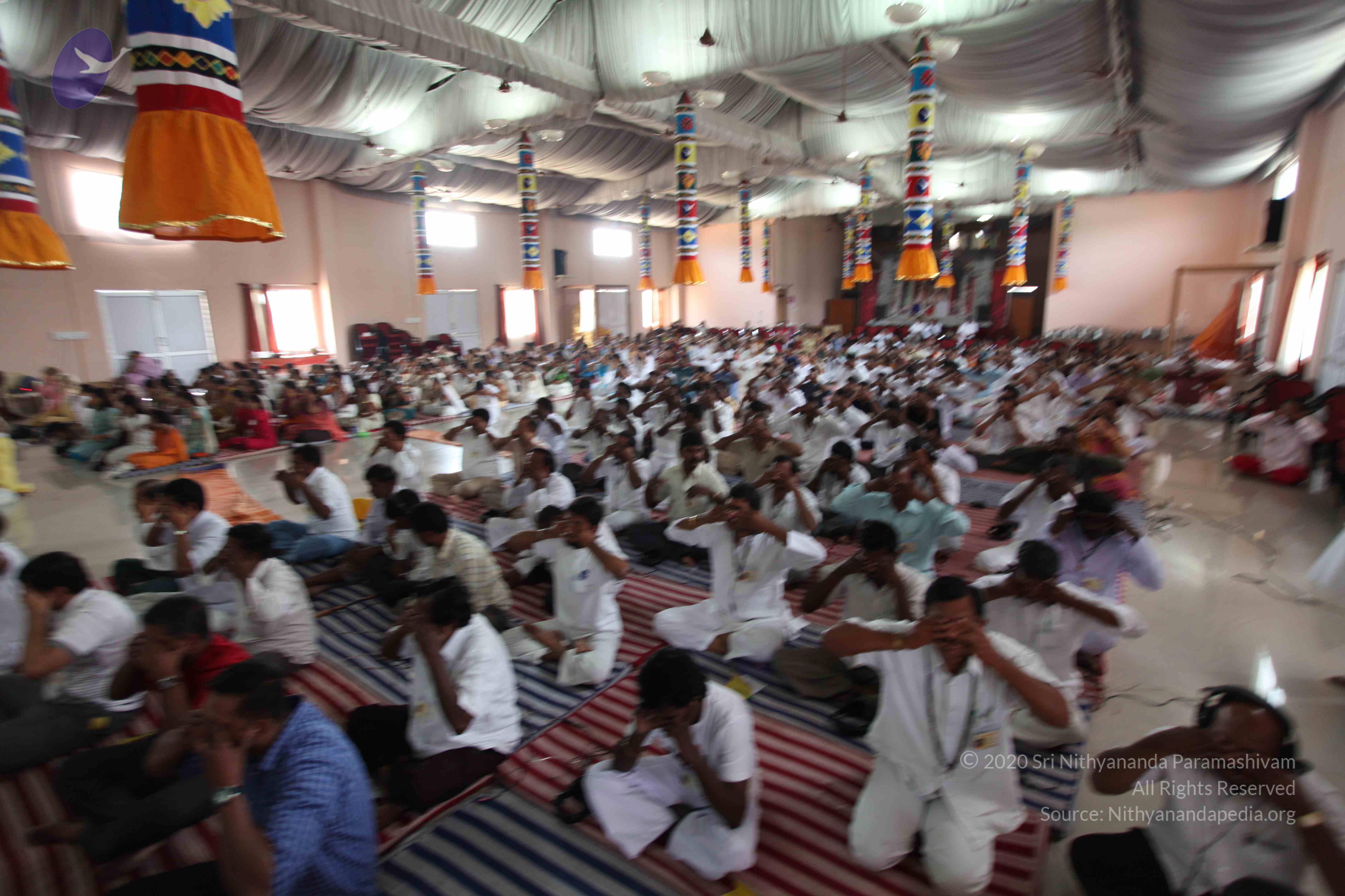 20110227_Photo_1305_IMG_9266_CMP_WM