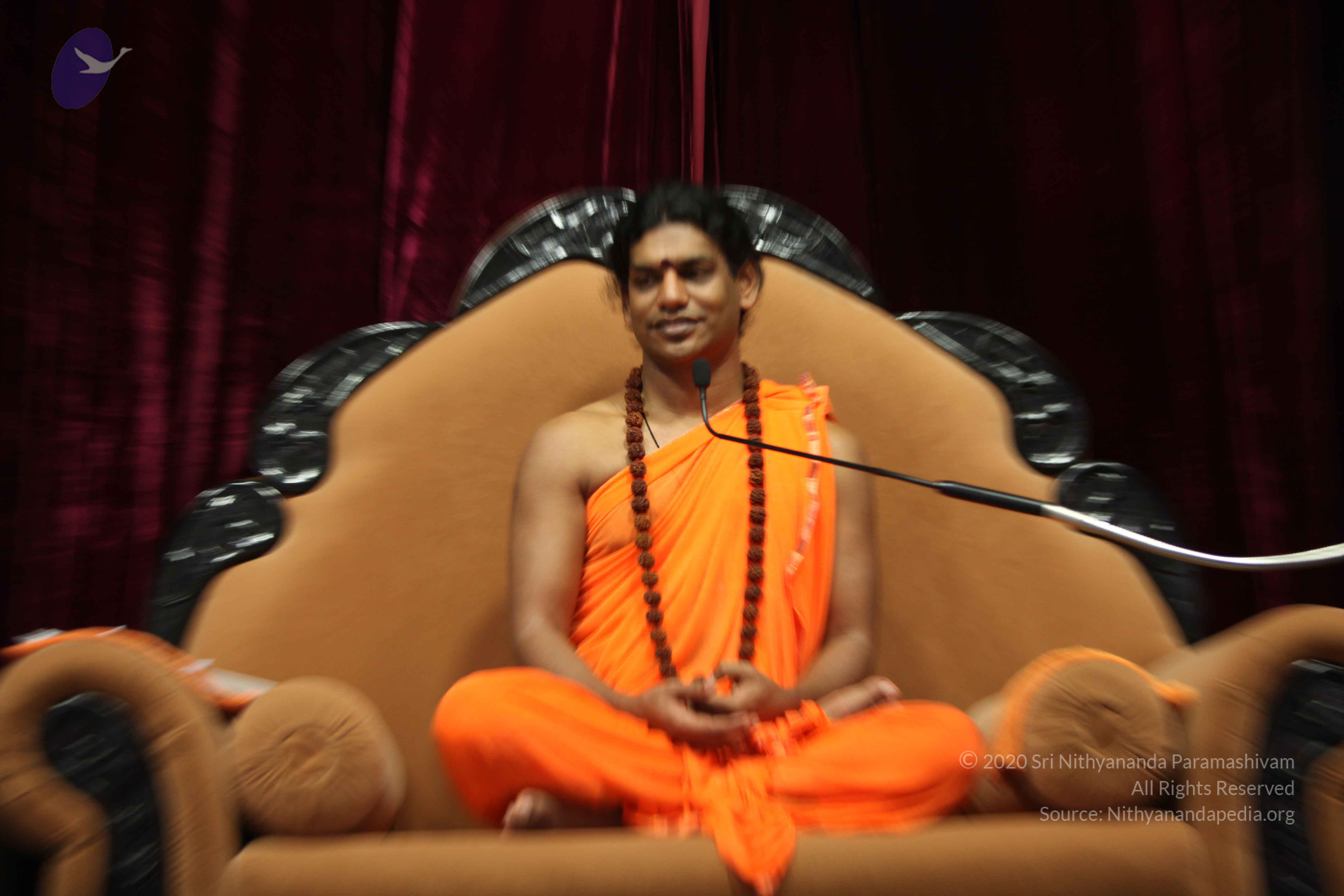 20110227_Photo_1306_IMG_9533_CMP_WM