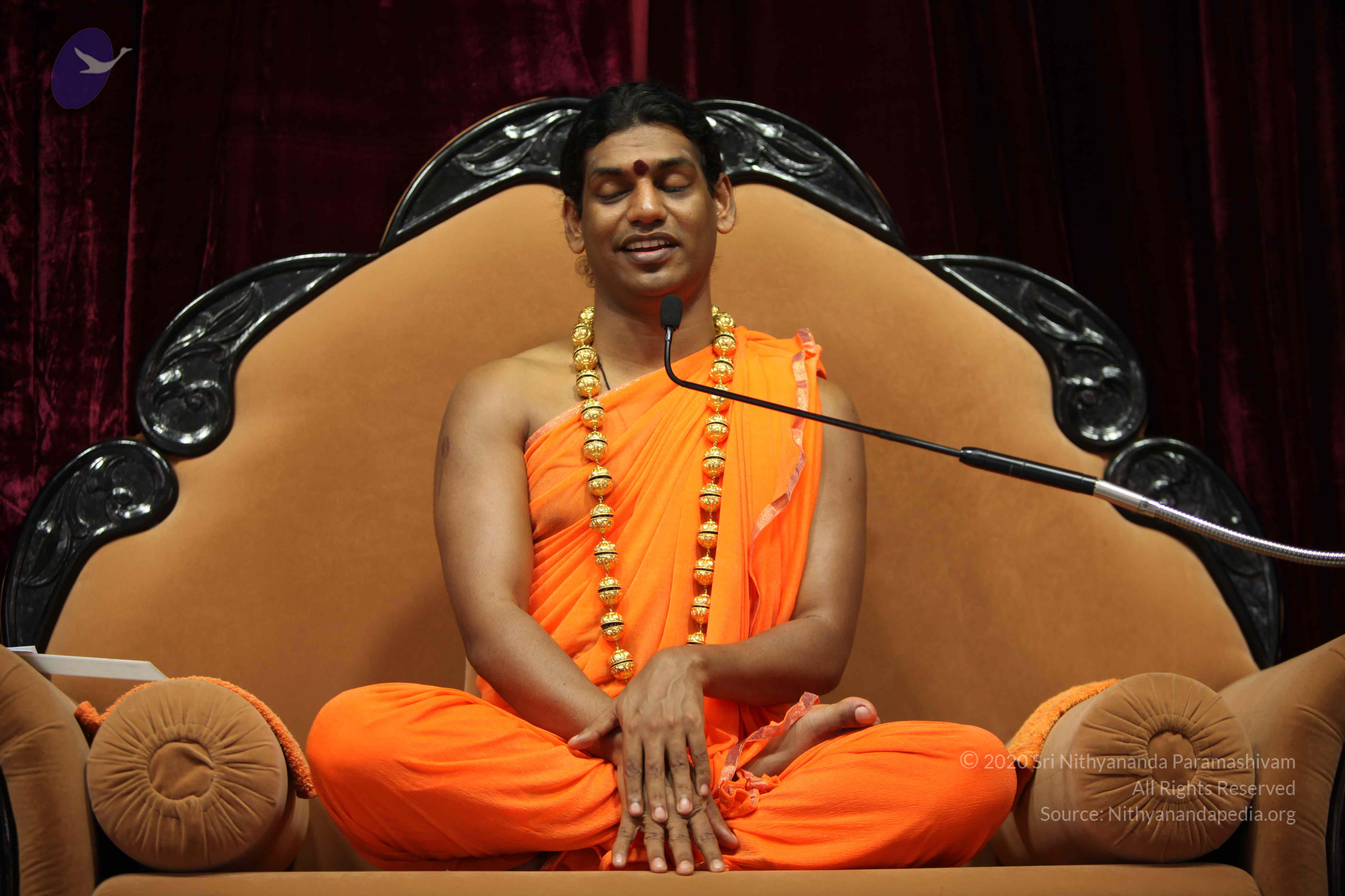 20110227_Photo_1310_IMG_9427_CMP_WM