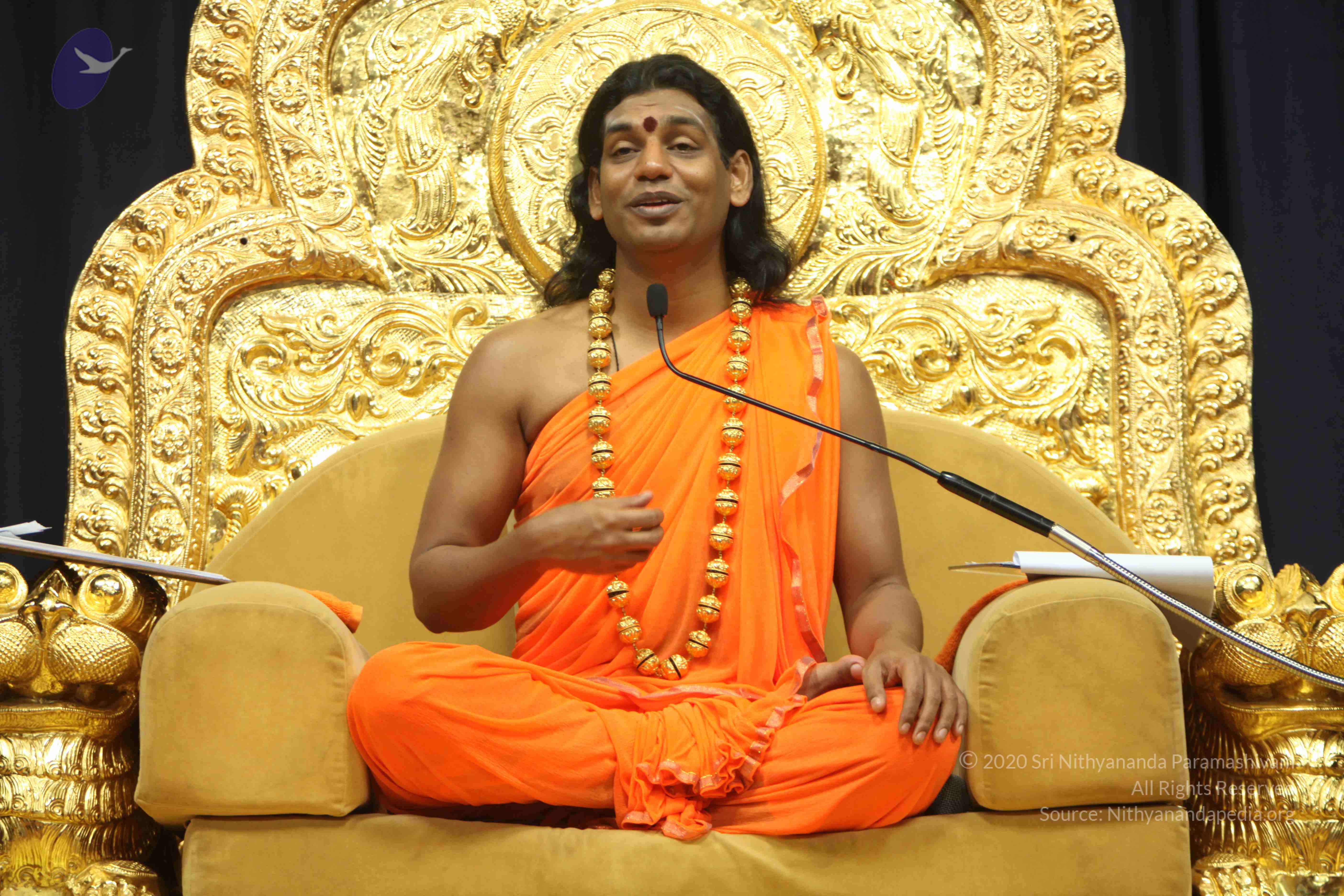 20110227_Photo_1312_IMG_9204_CMP_WM