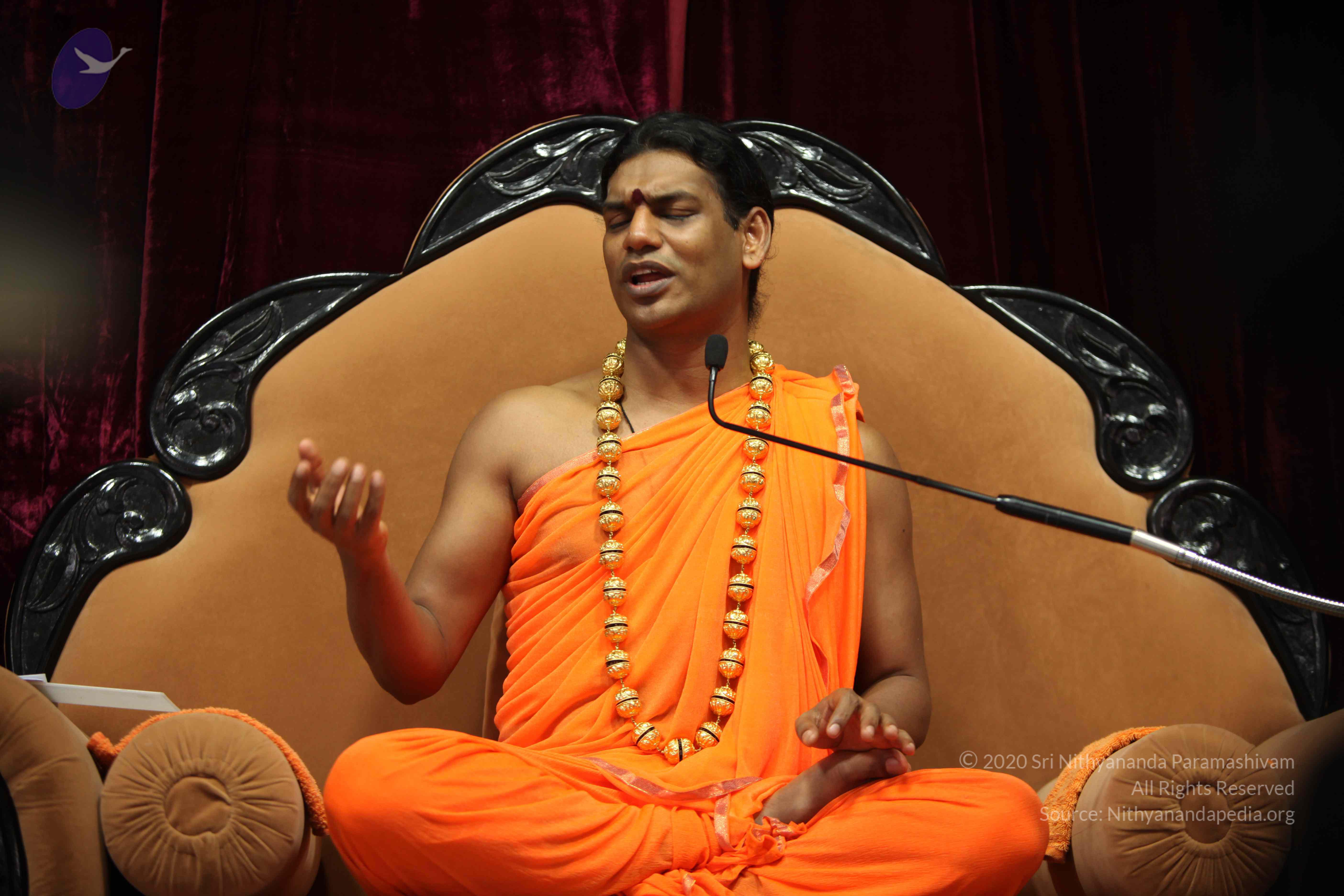 20110227_Photo_1315_IMG_9472_CMP_WM