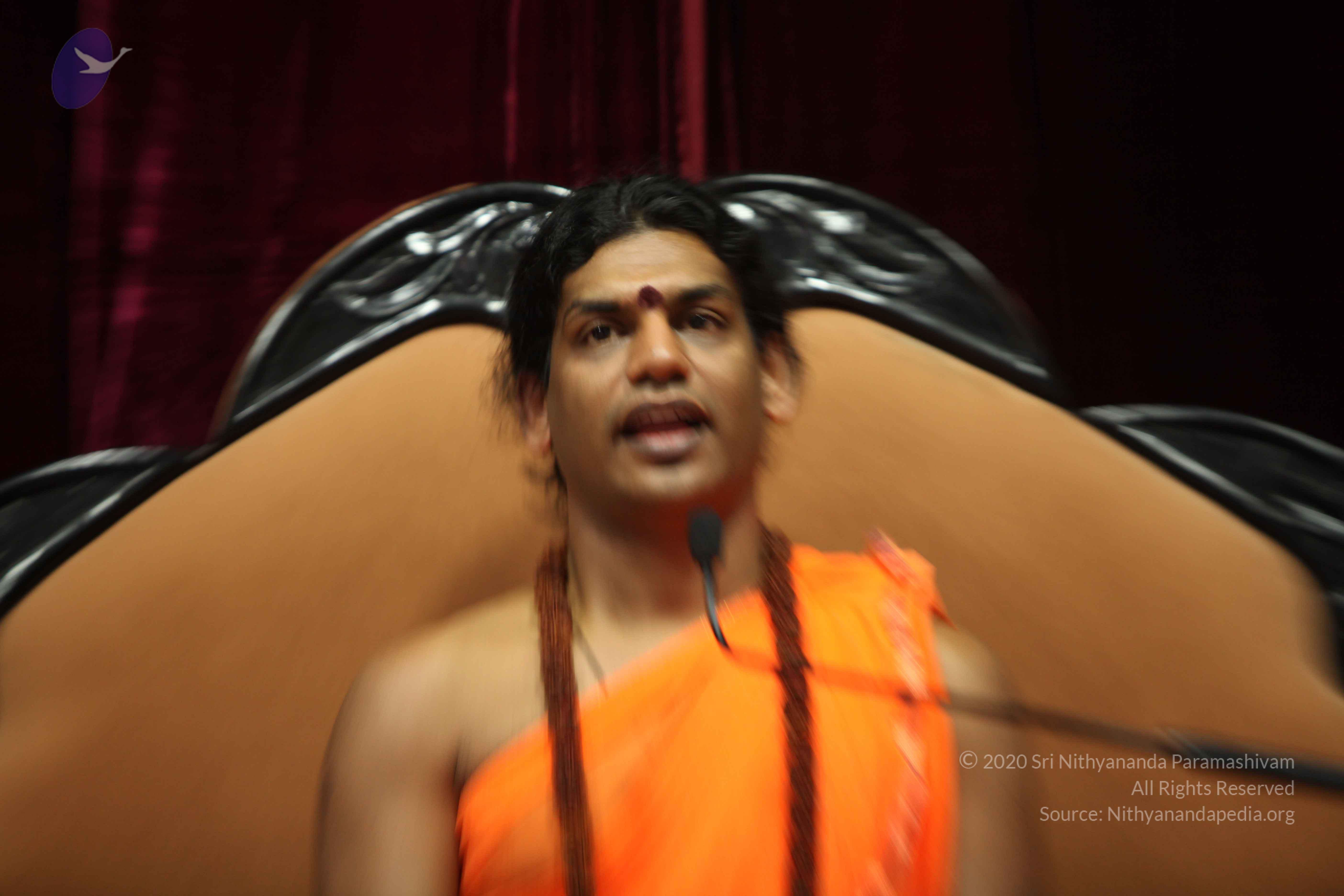 20110227_Photo_1323_IMG_9534_CMP_WM