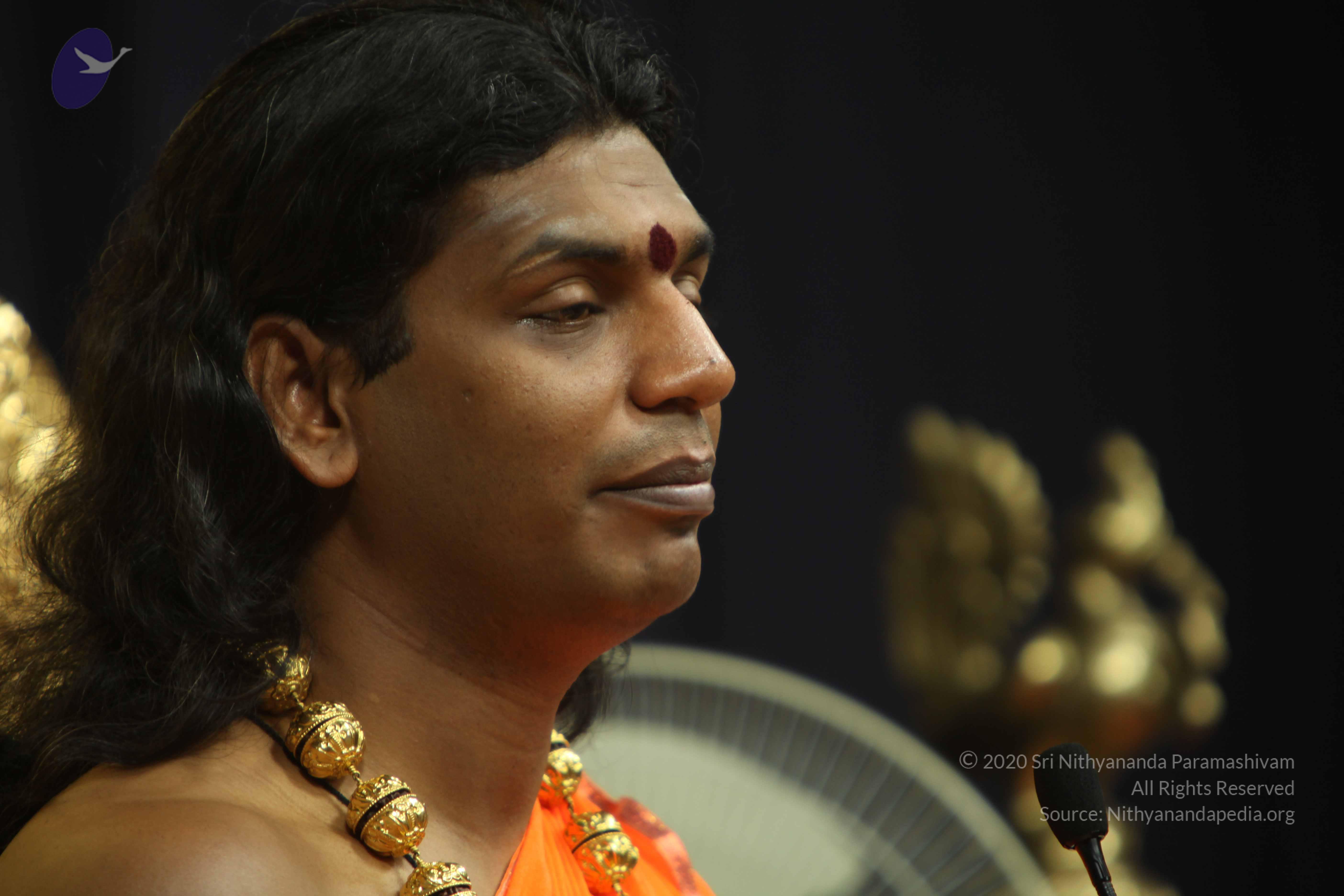 20110227_Photo_1328_IMG_9049_CMP_WM