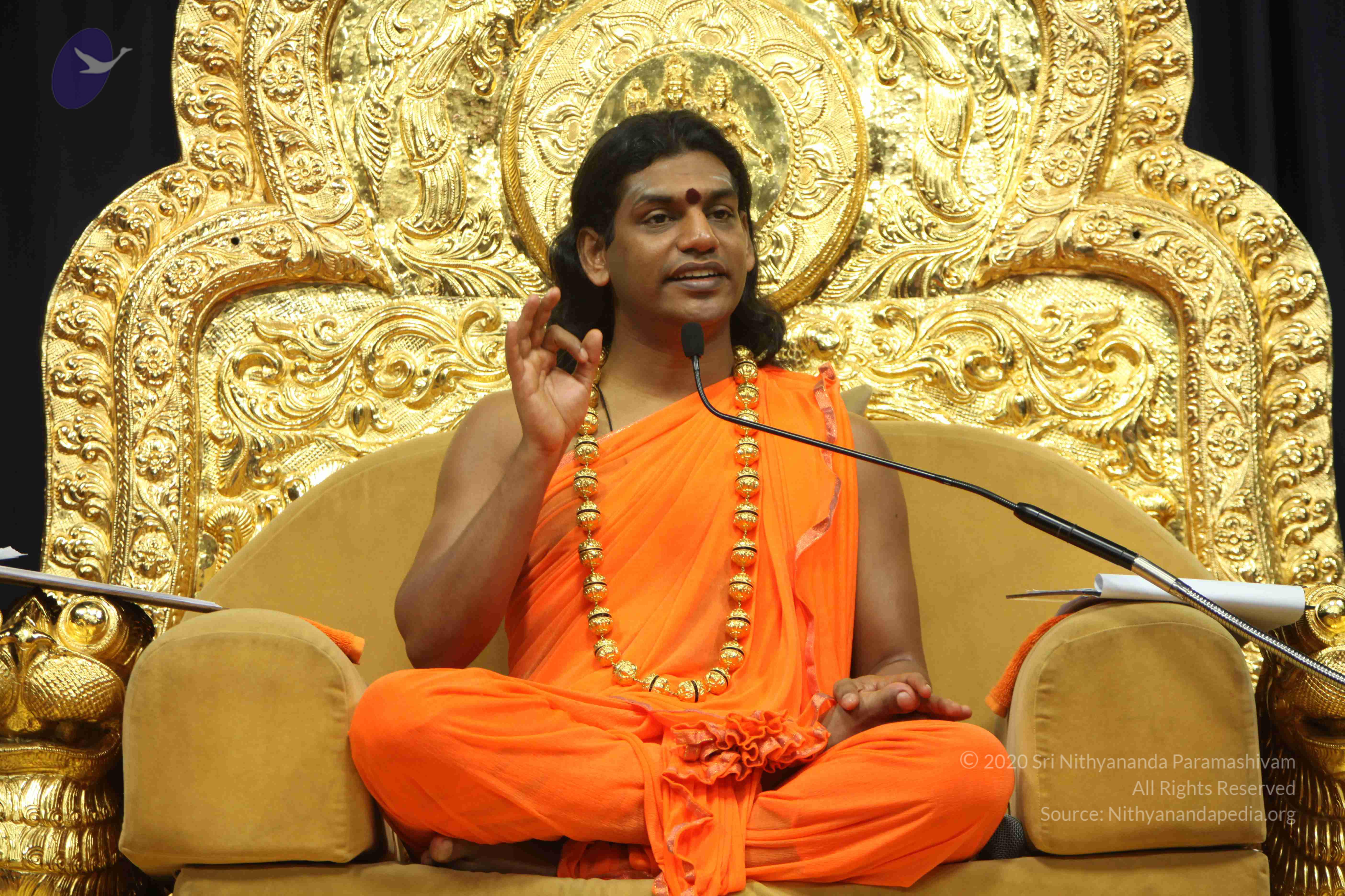 20110227_Photo_1330_IMG_9081_CMP_WM