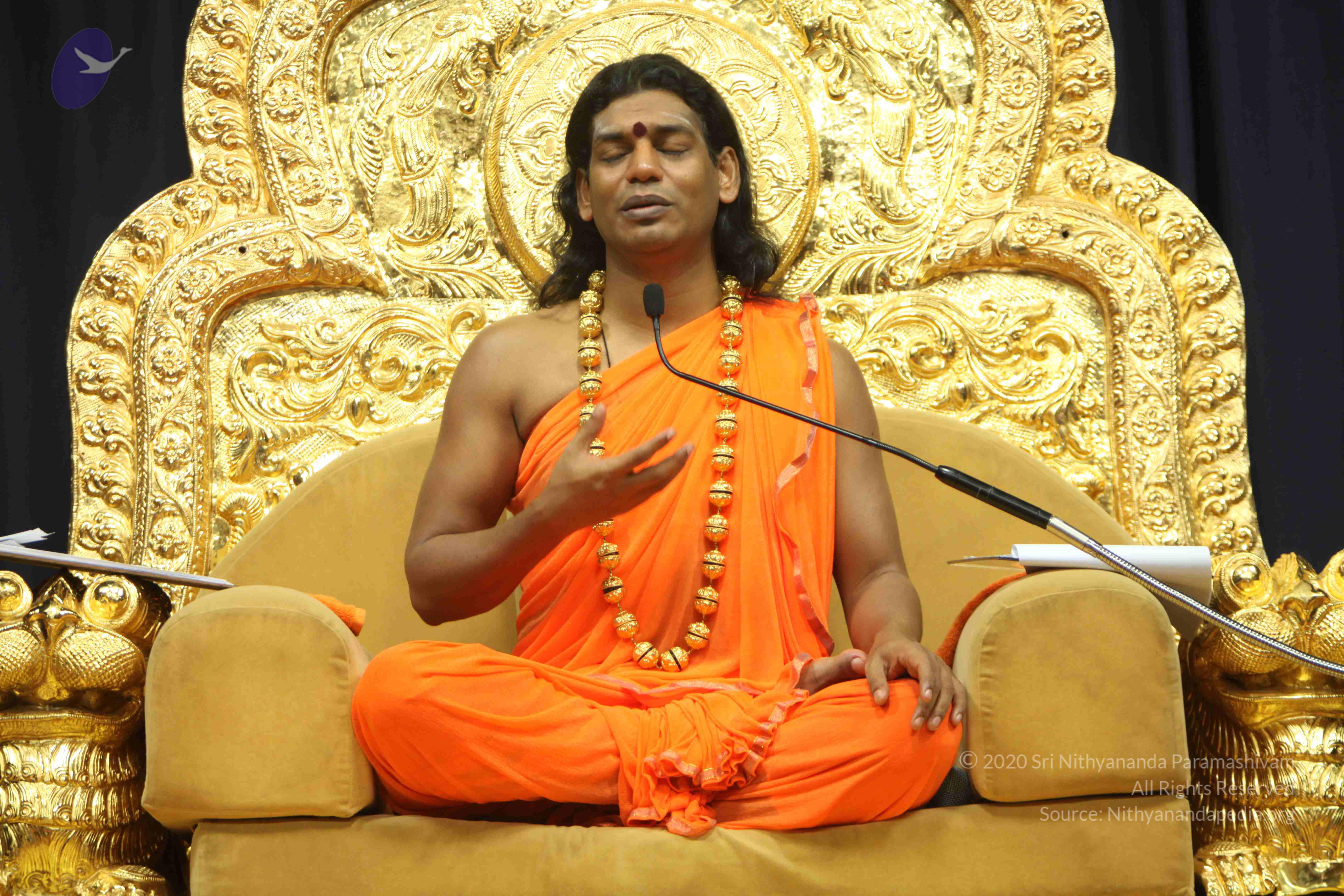 20110227_Photo_1331_IMG_9195_CMP_WM