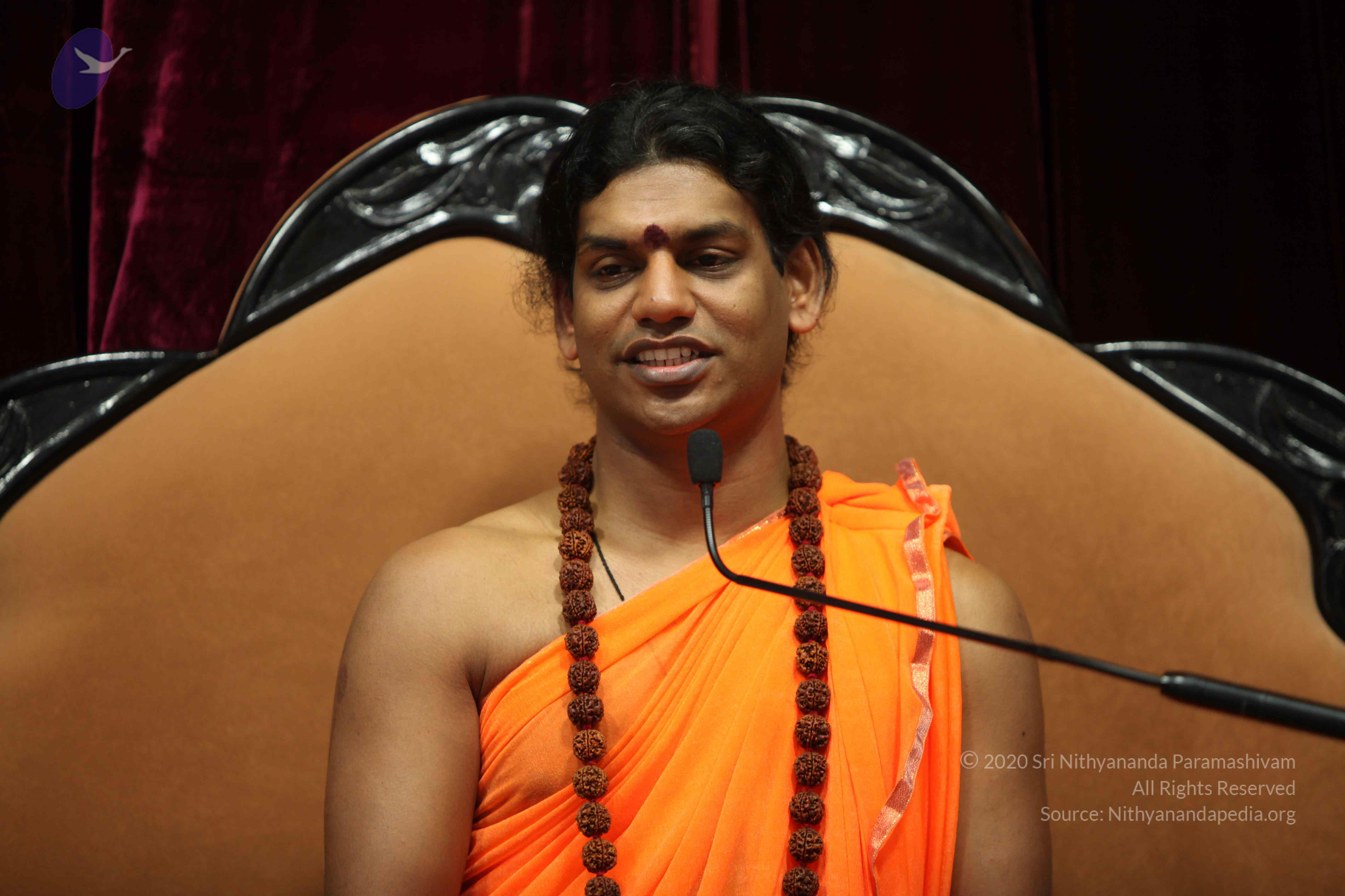 20110227_Photo_1333_IMG_9528_CMP_WM