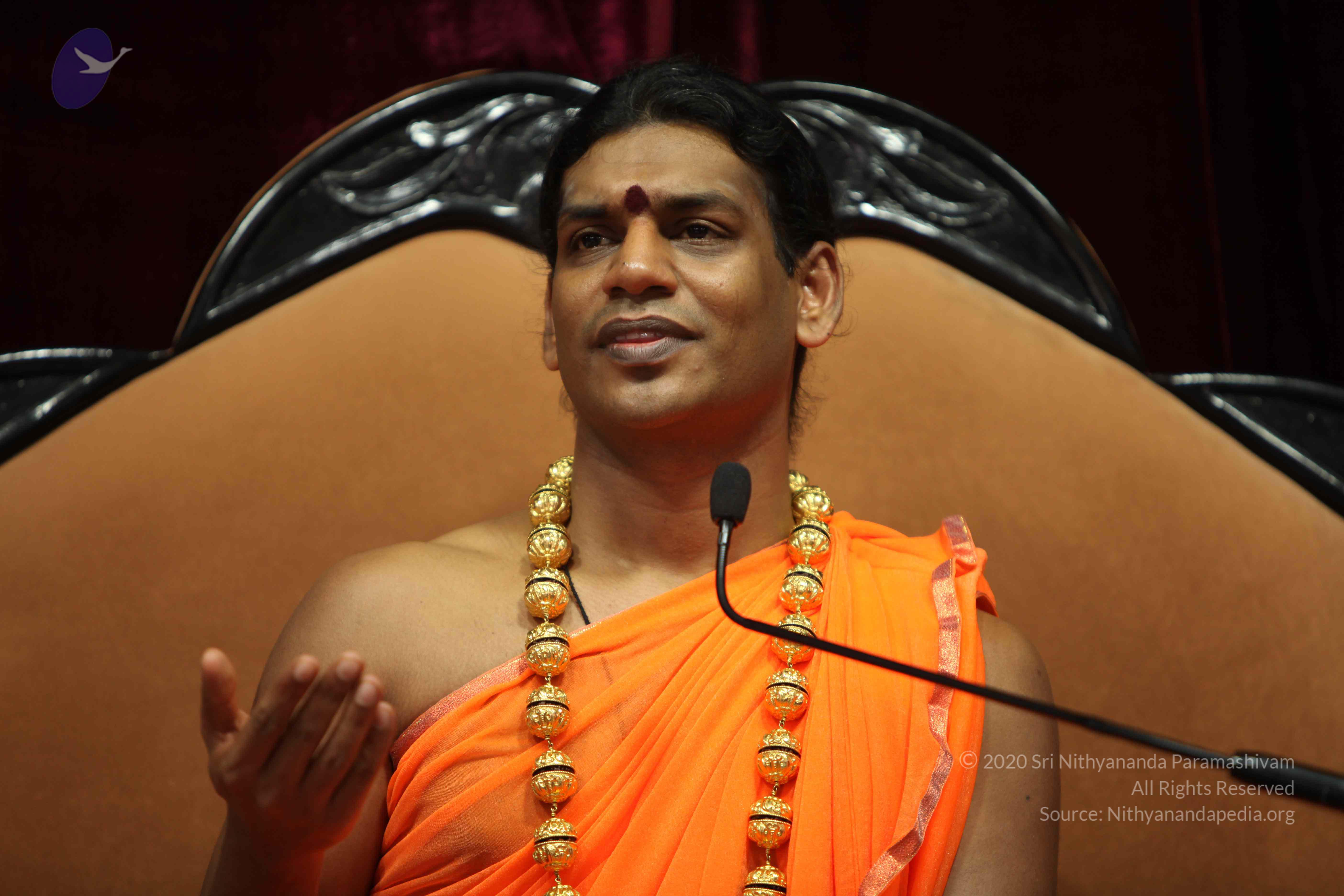 20110227_Photo_1341_IMG_9469_CMP_WM